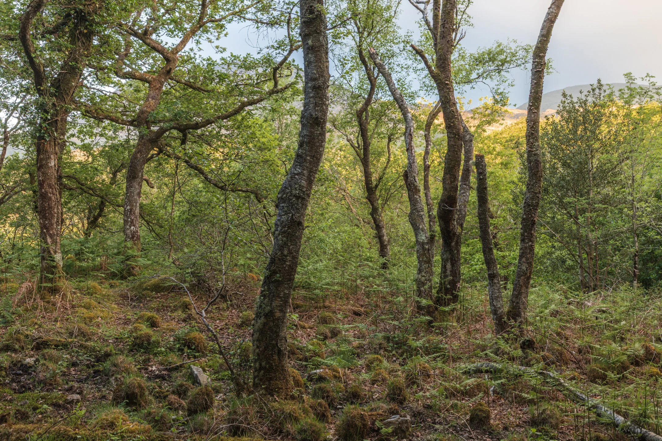 _J3A9624-HDR.jpg