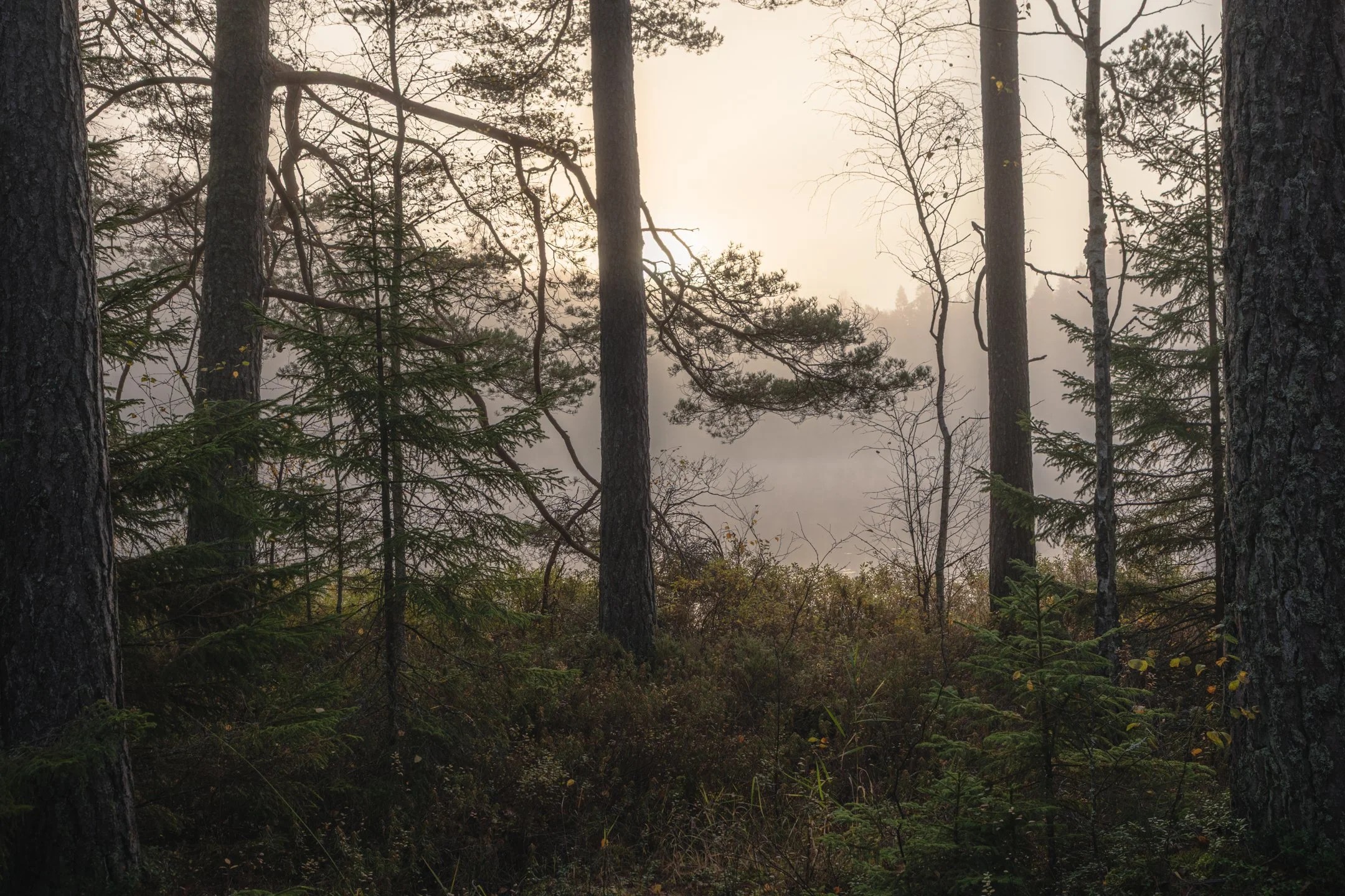 _J3A0187-HDR.jpg