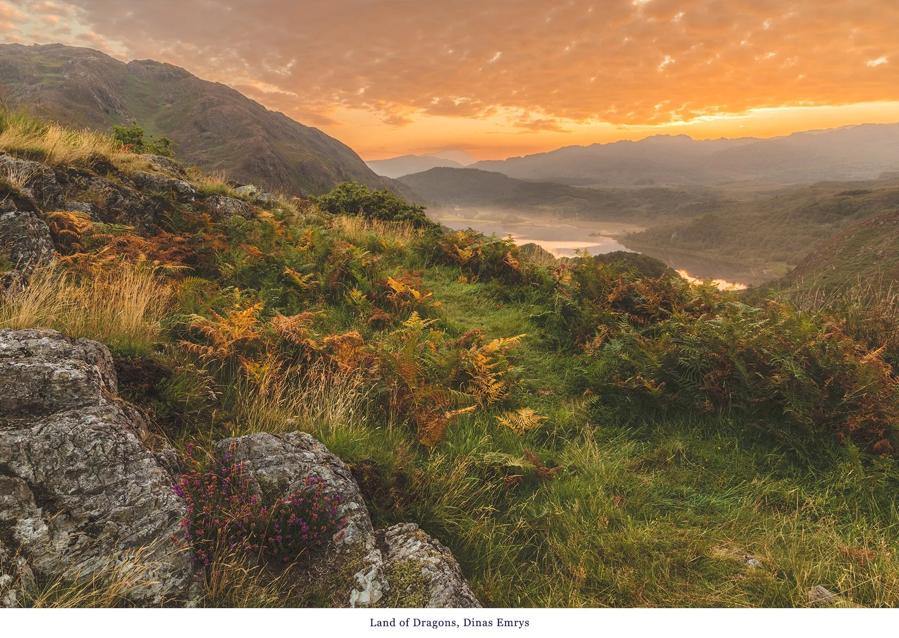 Dinas Emrys Land of Dragons.jpg