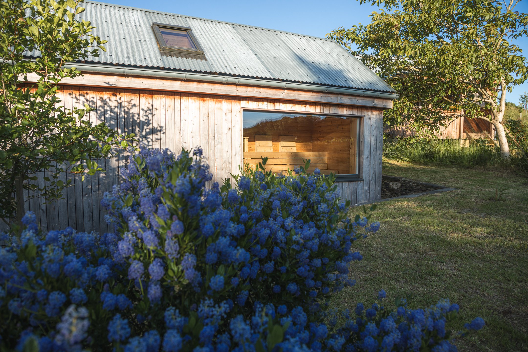 Write Within Writer's Cabin Mid Wales 2024-16.jpg