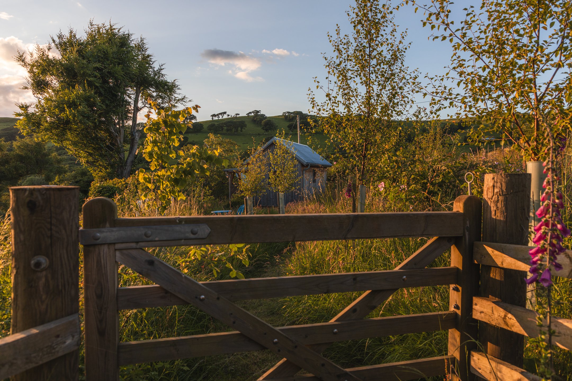 Write Within Writer's Cabin Mid Wales 2024.jpg