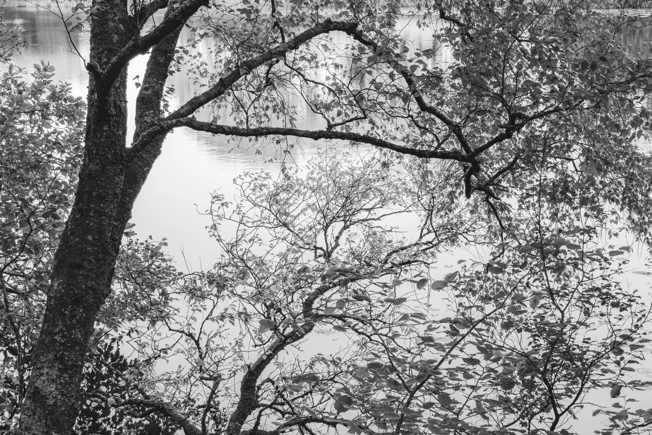 _J3A9158-HDR.jpg