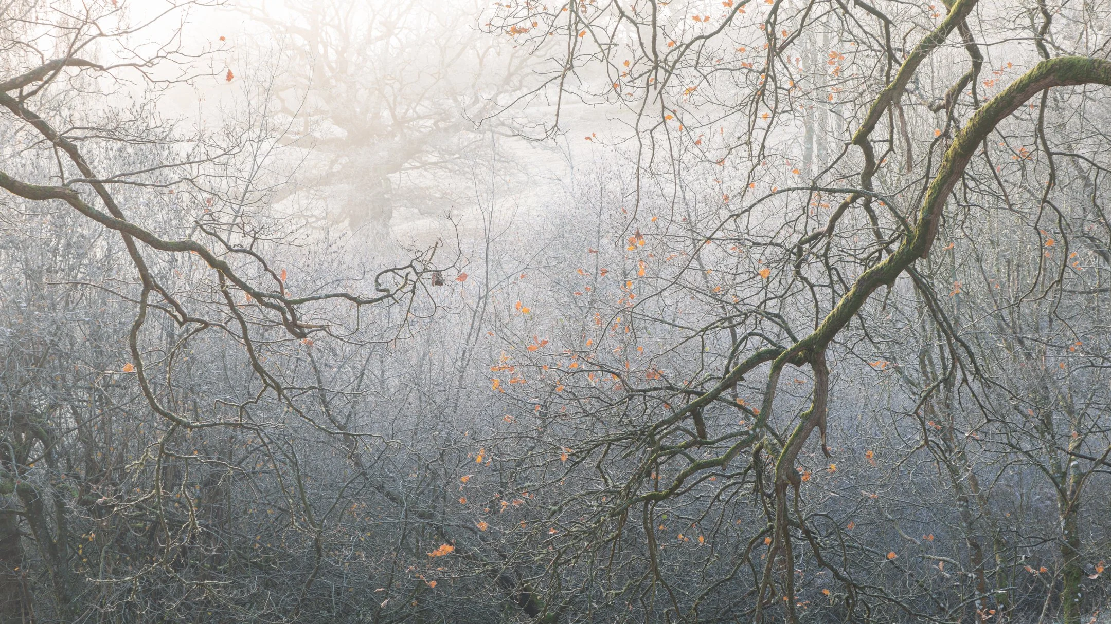 5 Beginner Composition Rules for Better Landscape Photography — Mindful ...