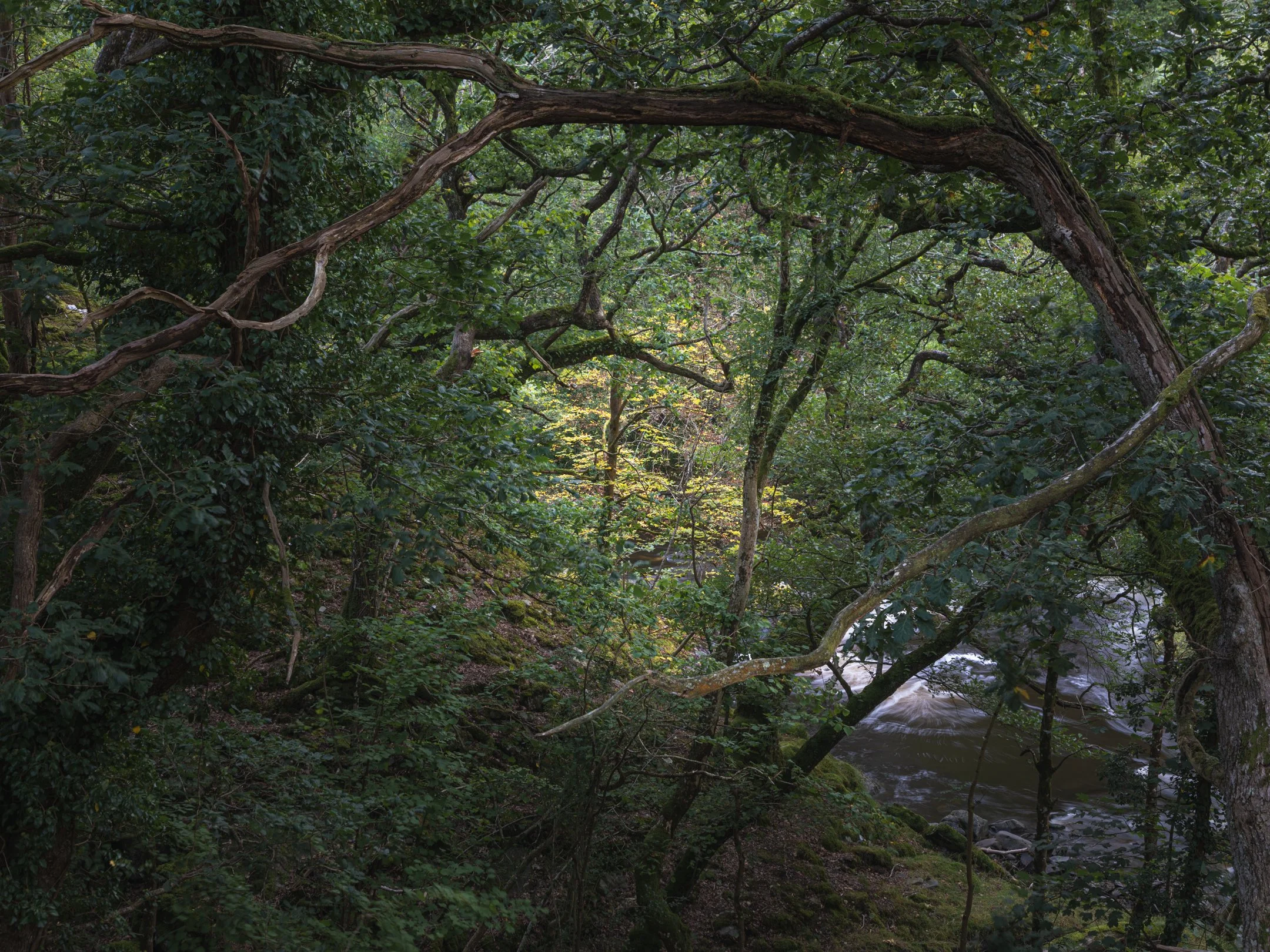 _J3A0013-2.jpg