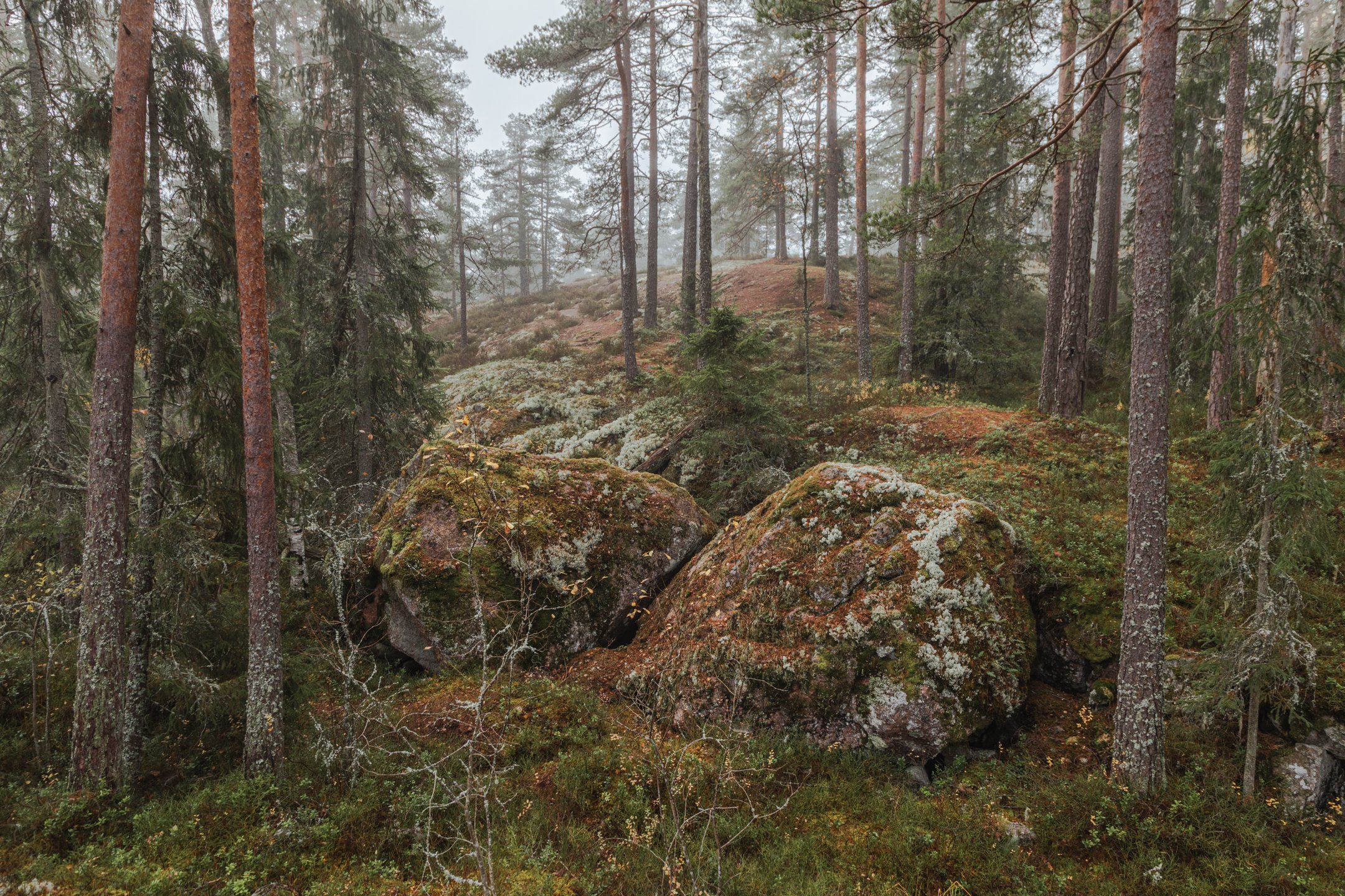 _J3A0582-HDR.jpg