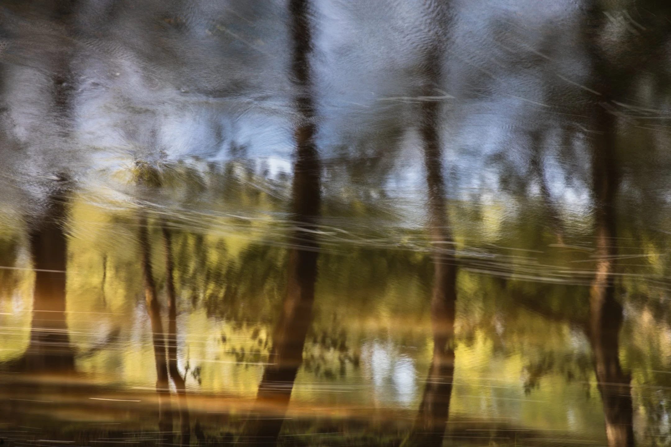 _J3A9977-Edit.jpg