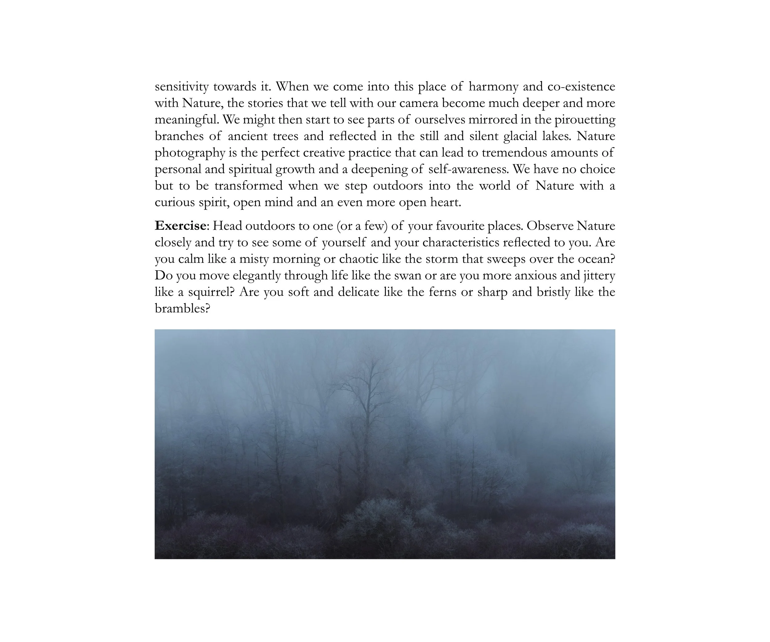 Photographing with Purpose - Inner 2.jpg