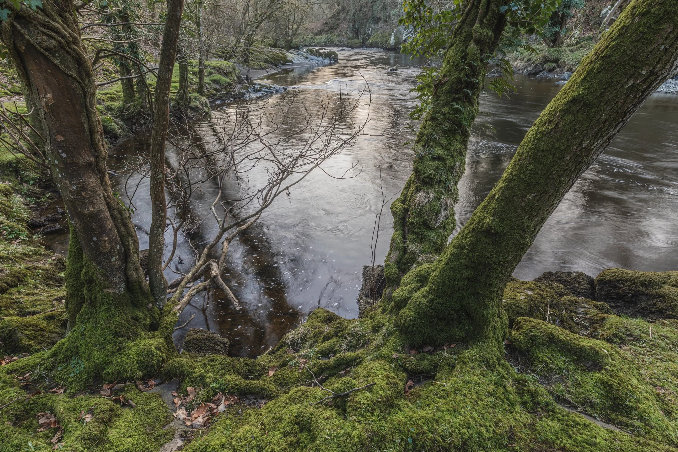 _J3A0455-HDR.jpg