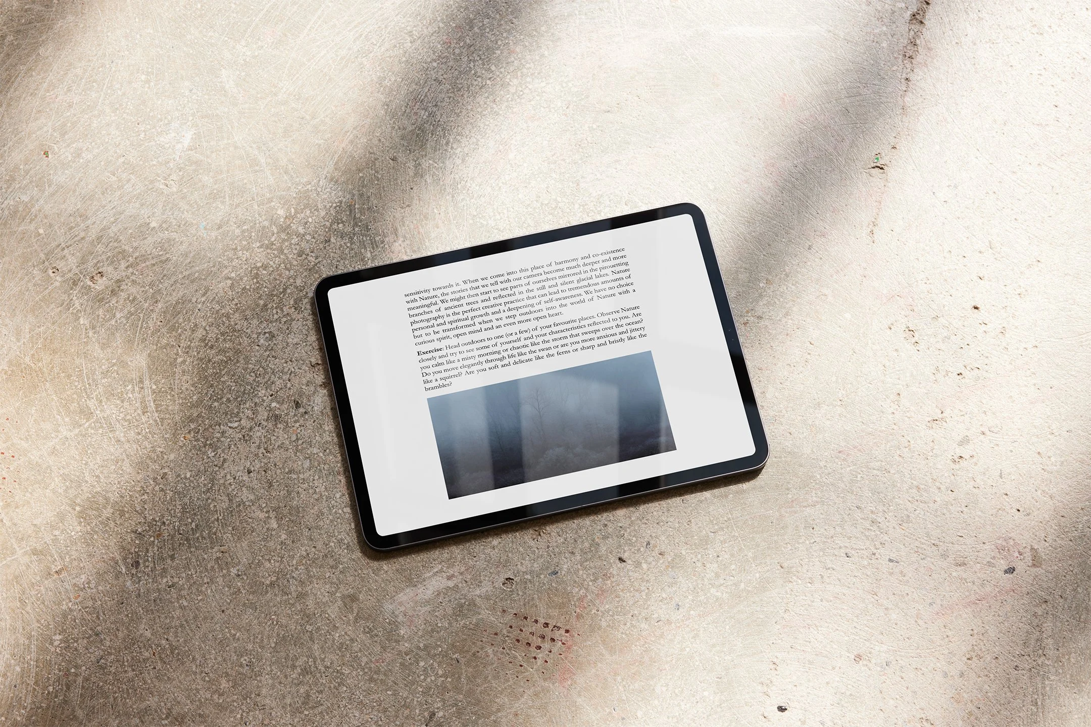 eBook Mockup Inner 2.jpg