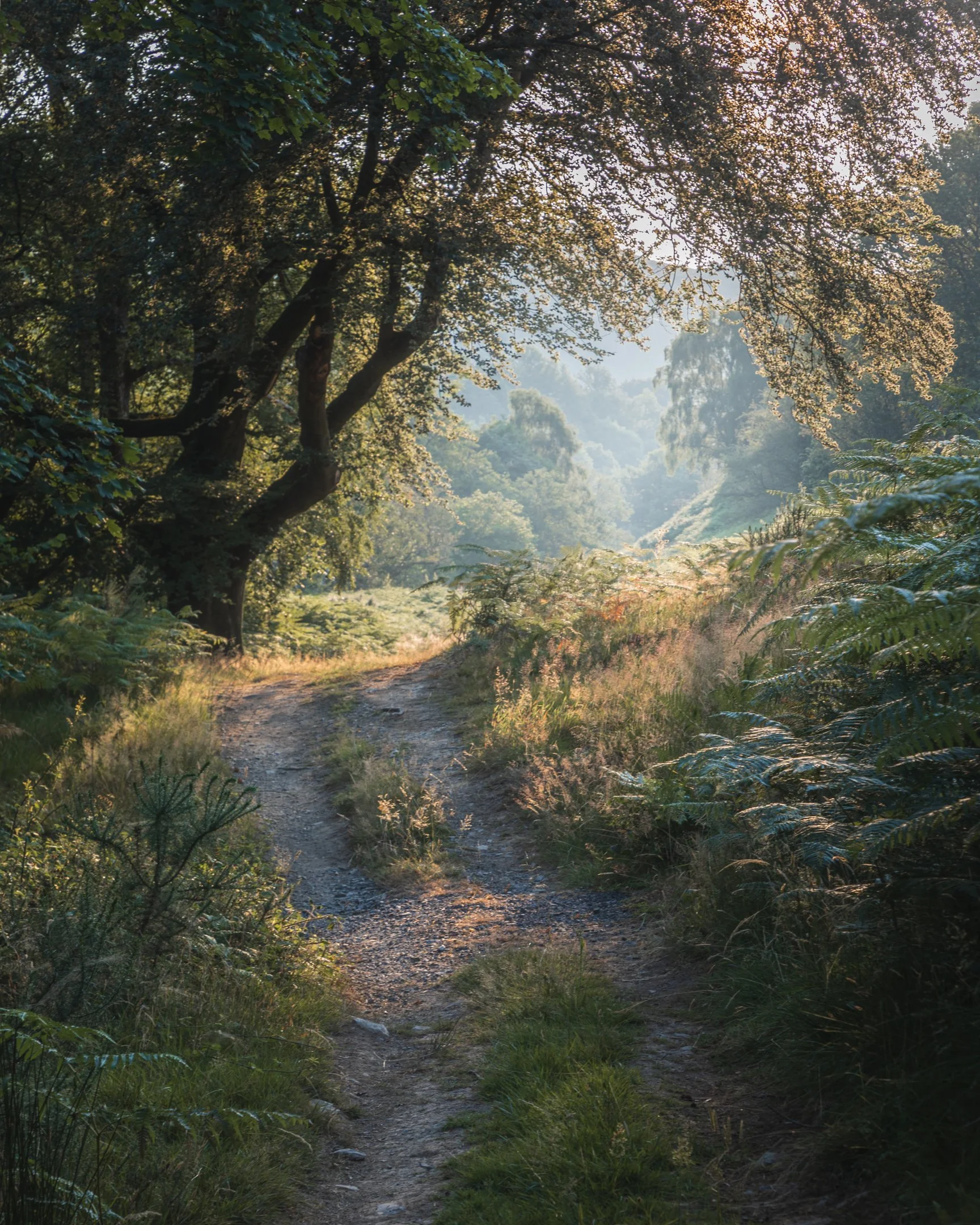_J3A9860-HDR.jpg