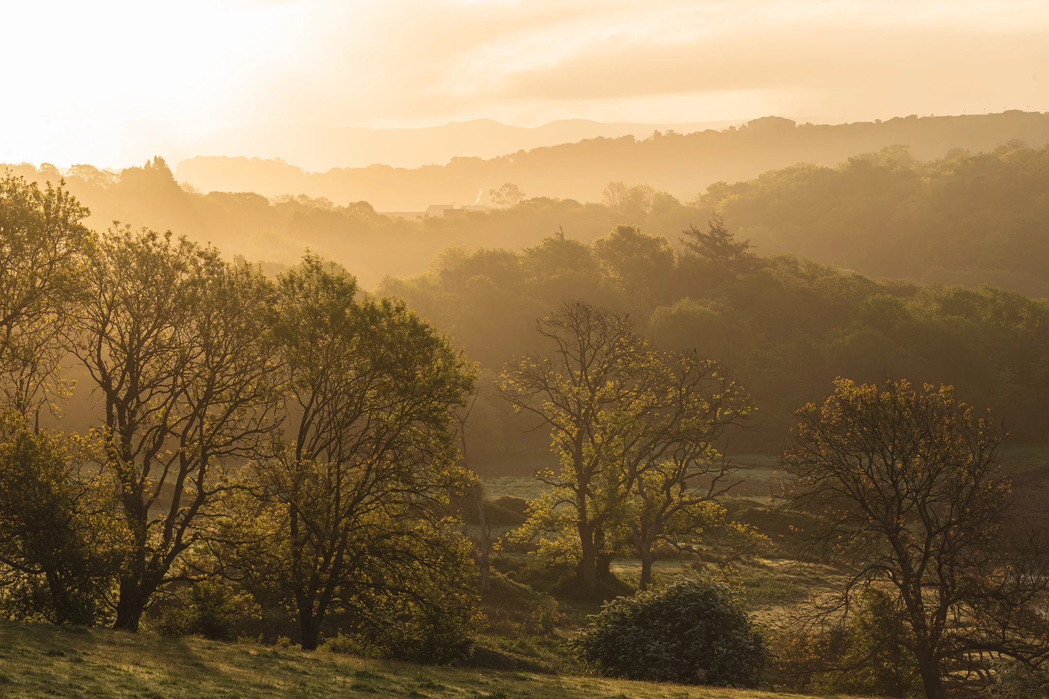 Understanding Light in Landscape Photography Part One: Different Types of Light