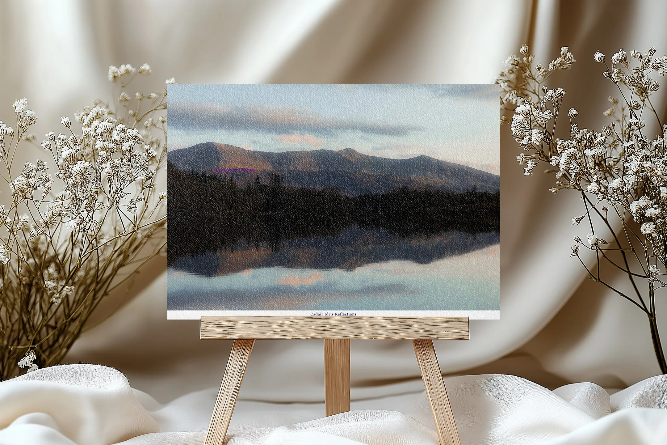 Llyn Cynwch & Cadair Idris Reflections.jpg