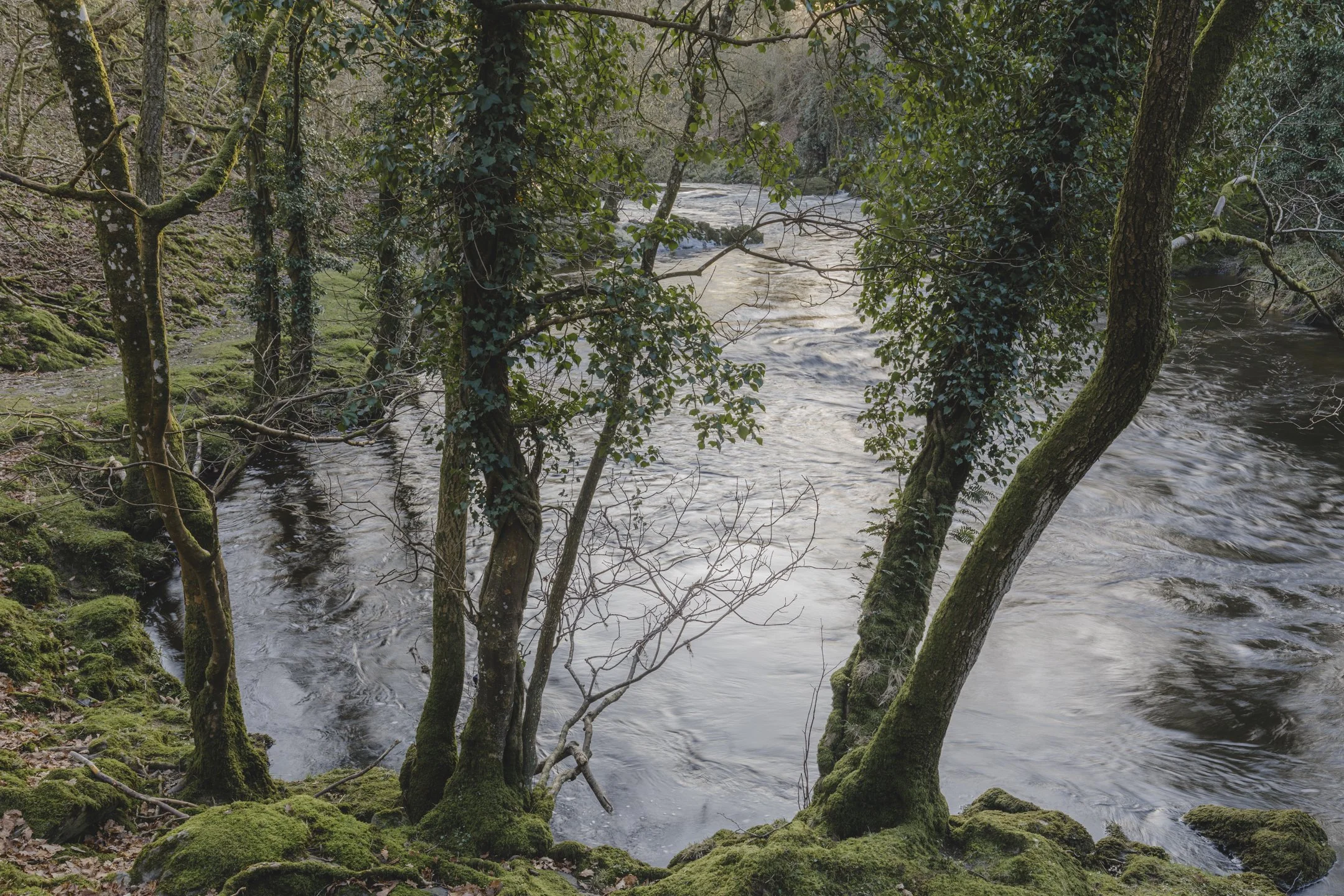 _J3A0332-HDR.jpg