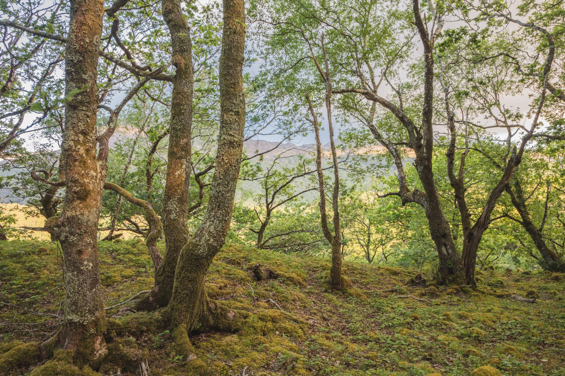 _J3A9641-HDR.jpg