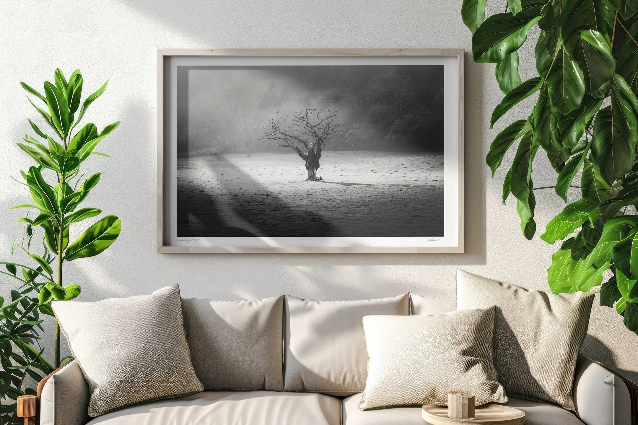 Limelight by Brad Carr Framed Photograph on Wall II.jpg