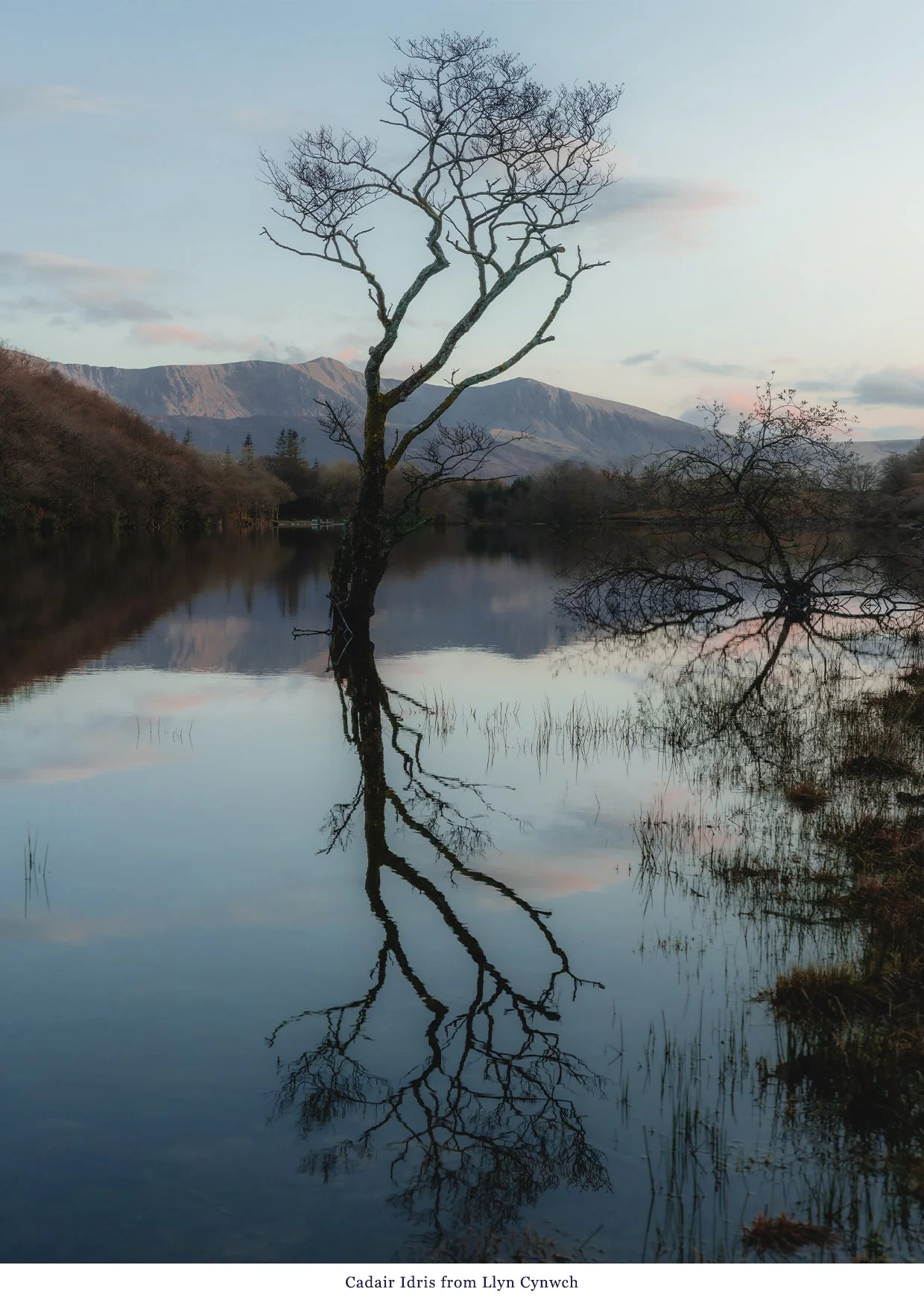 Cadair Idris & Llyn Cynwch Card.jpg