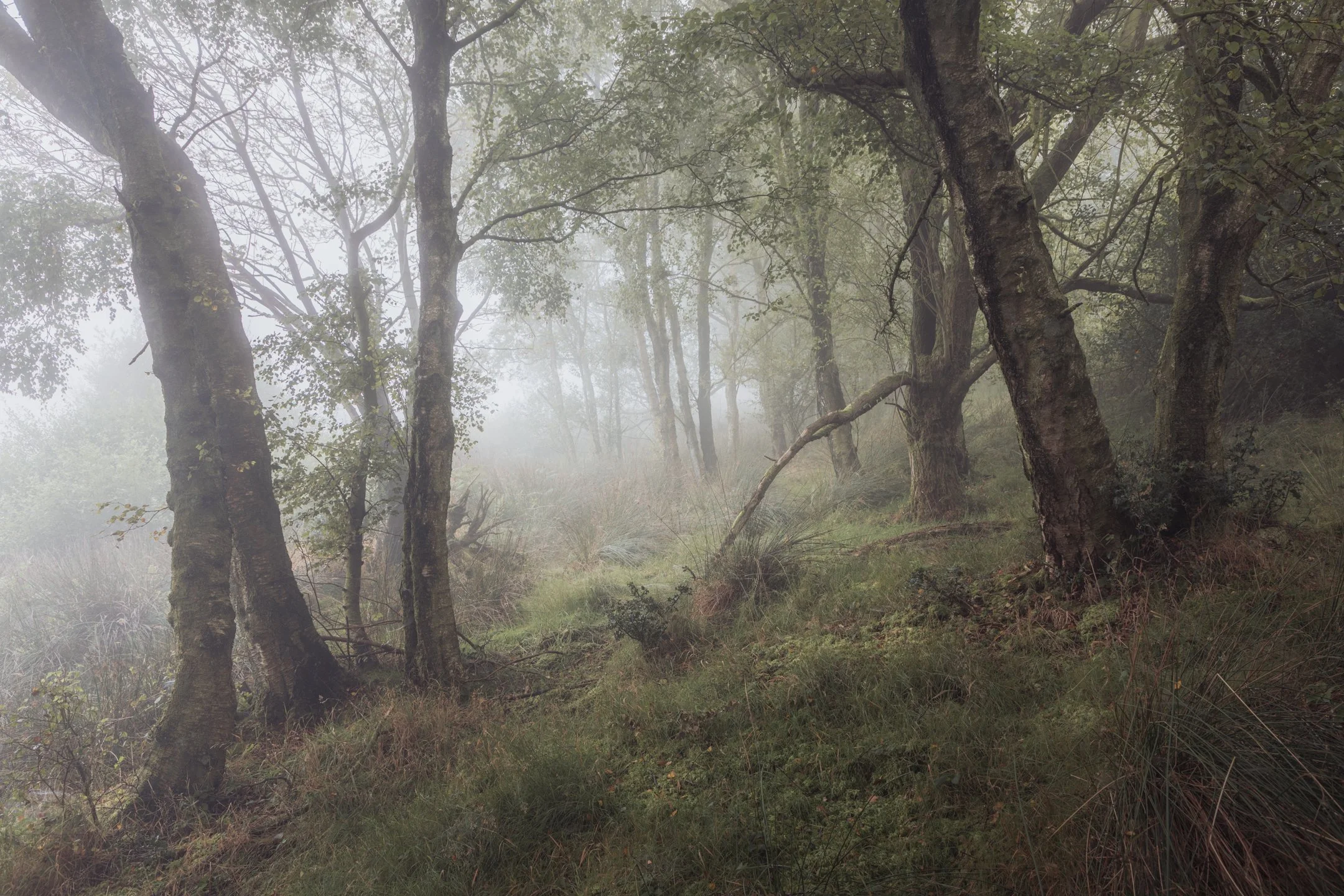 8J3A9320-HDR.jpg