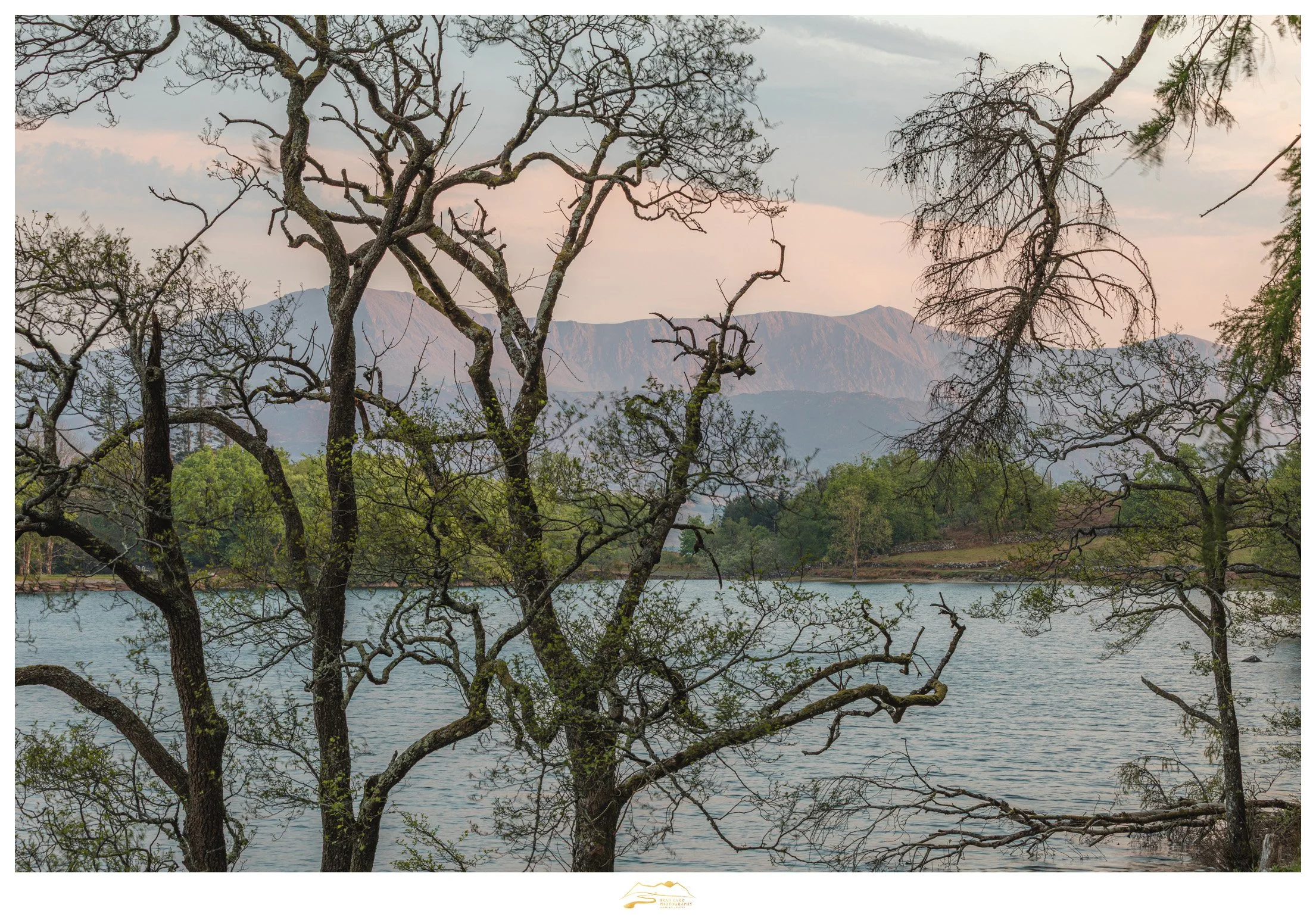 Learn the Art of Intimate Landscape Photography with the Telephoto Lens