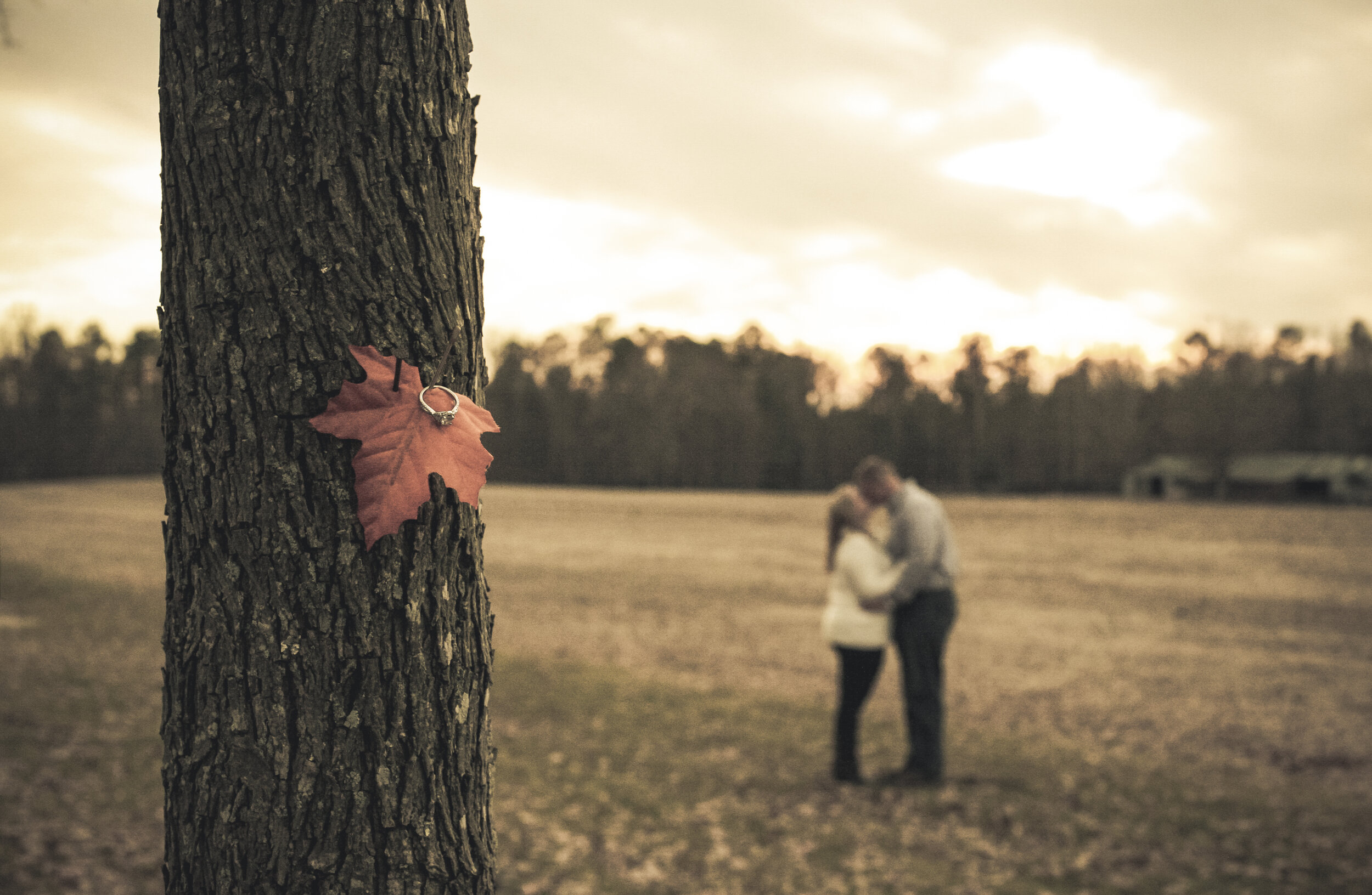 Stephanie and Trent-40.jpg