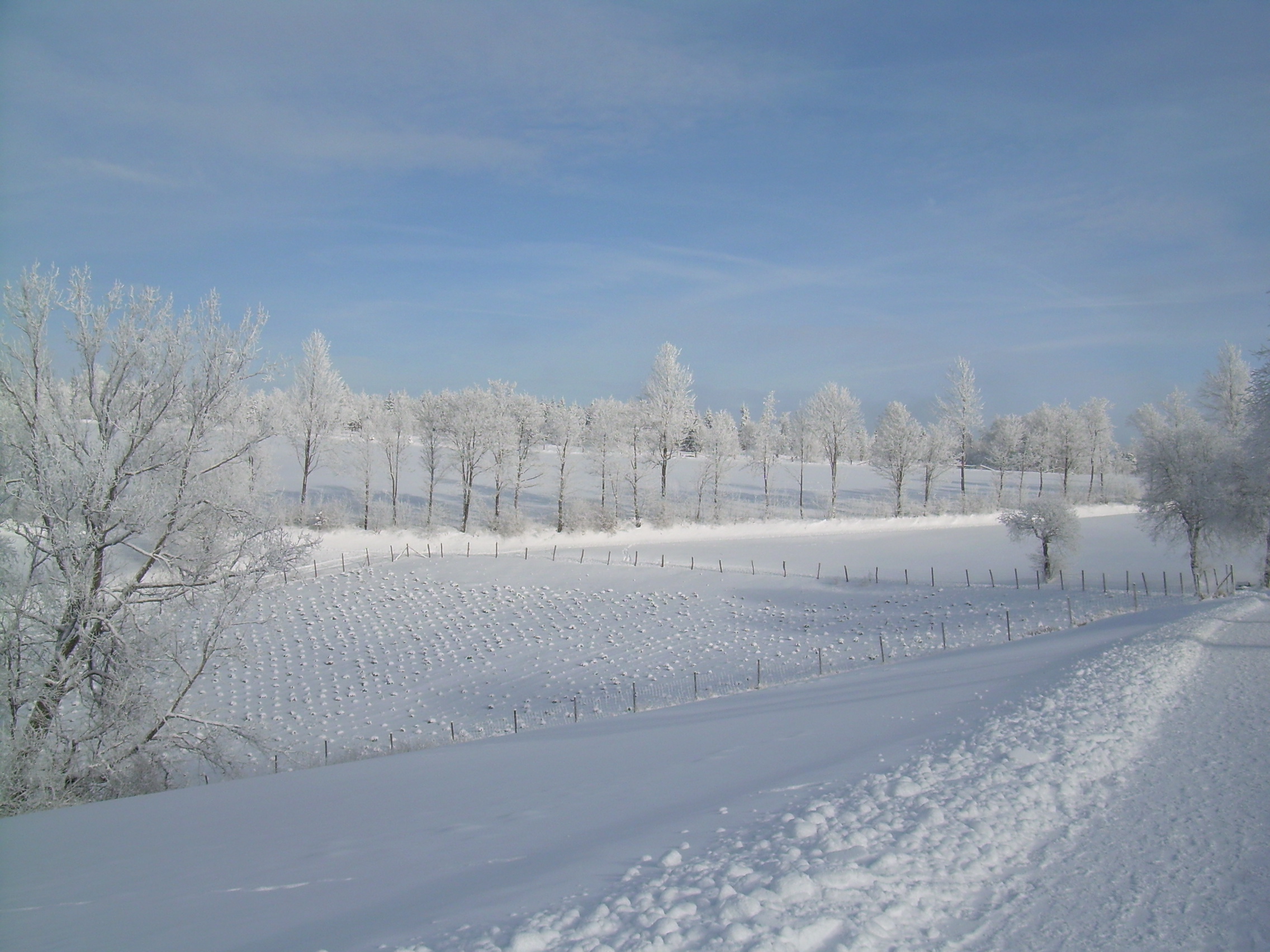 2013.01.26 winter 006.jpg