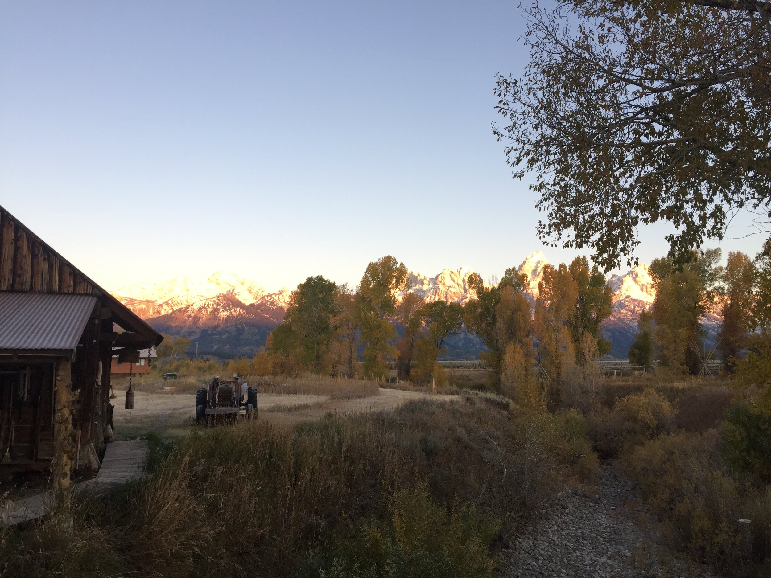  Beautiful sunrise on the Tetons from the bridge by the Log Cabin 