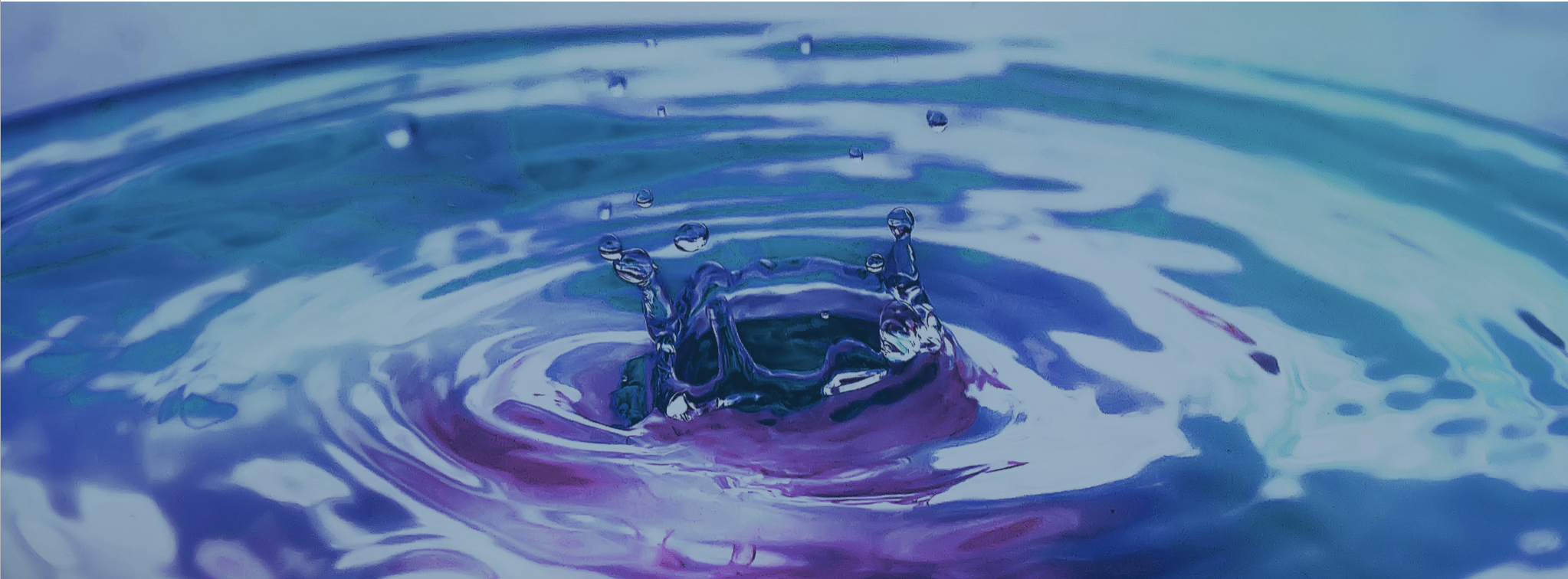 Screen Shot 2019-09-07 at 09.35.37.png