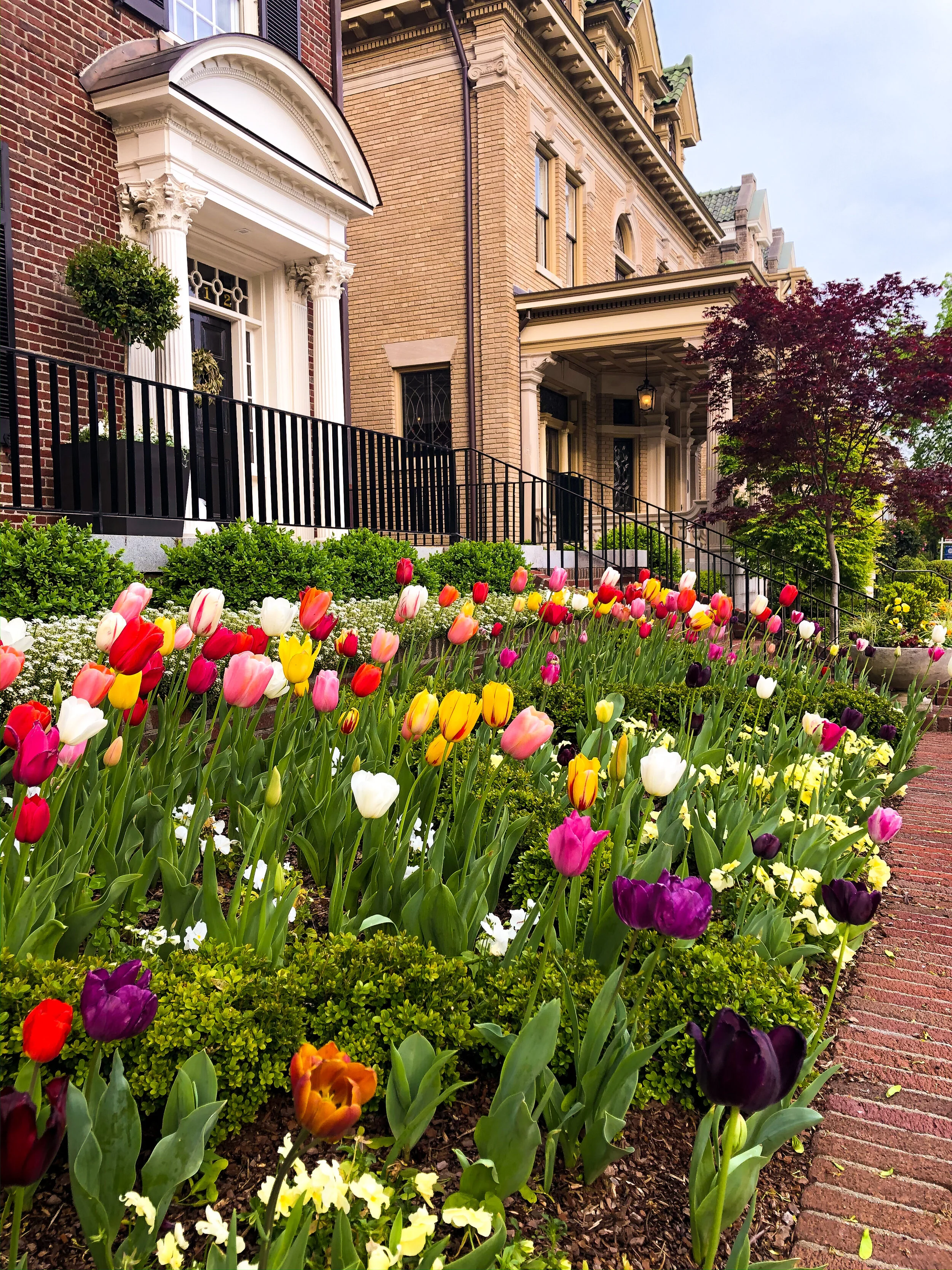 A Month of Social Distancing