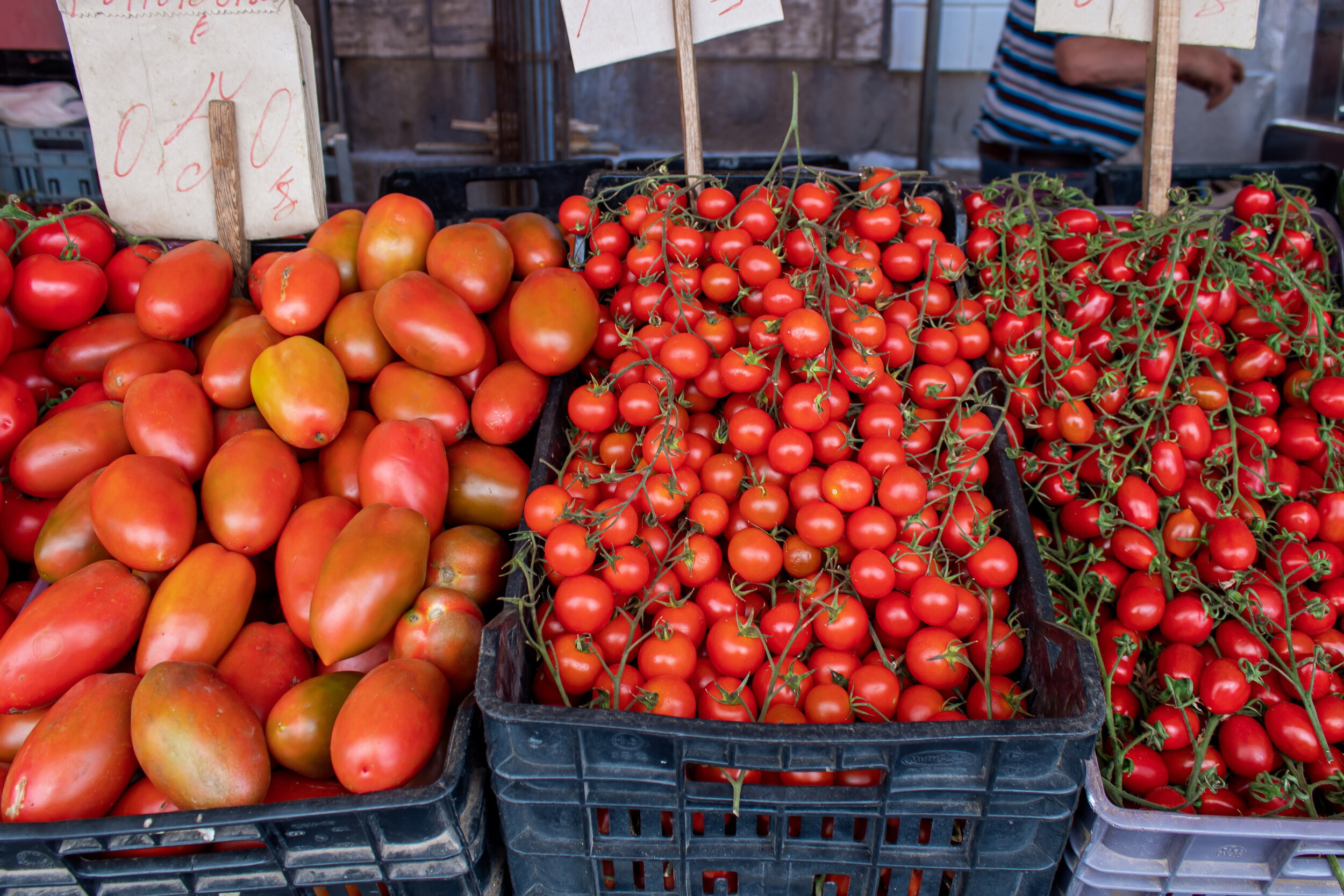 EL TOMATE