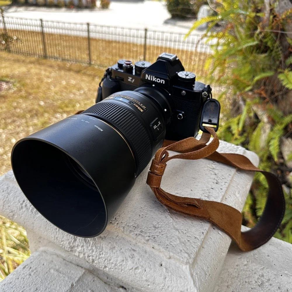 nikon zf with 105mm f1.4 prime lens