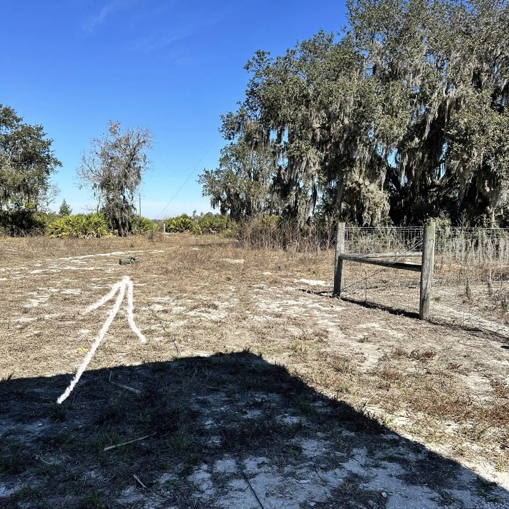 wire antenna inverted l