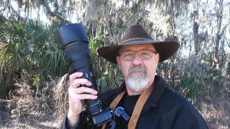 Nikon ZF with FTZ2 adapter, TC-14E III teleconverter, and 500mm PF lens for bird photography