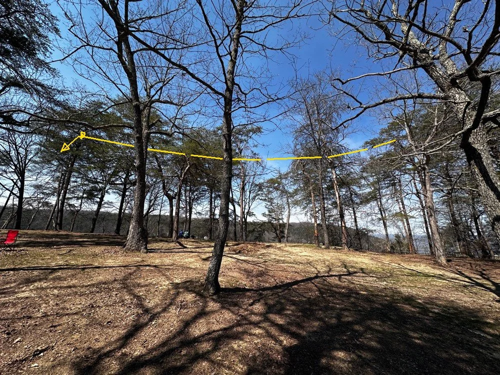 Postion of the 40m efhw antenna today for my POTA activation