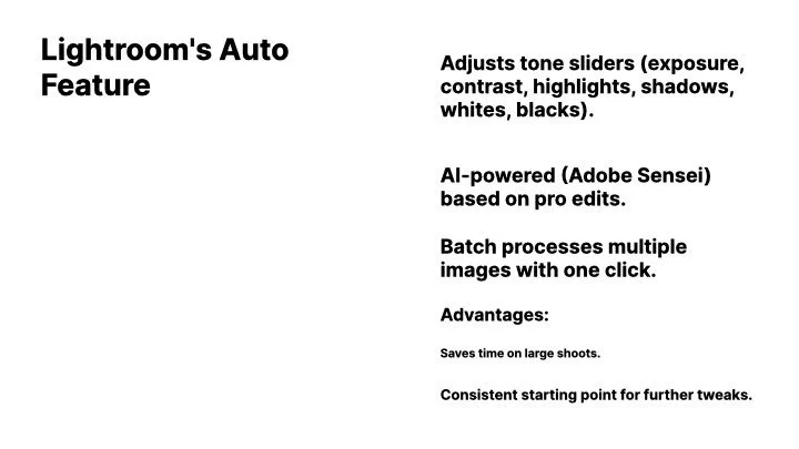 2025-03-25 - photography workflow 2.007.jpeg