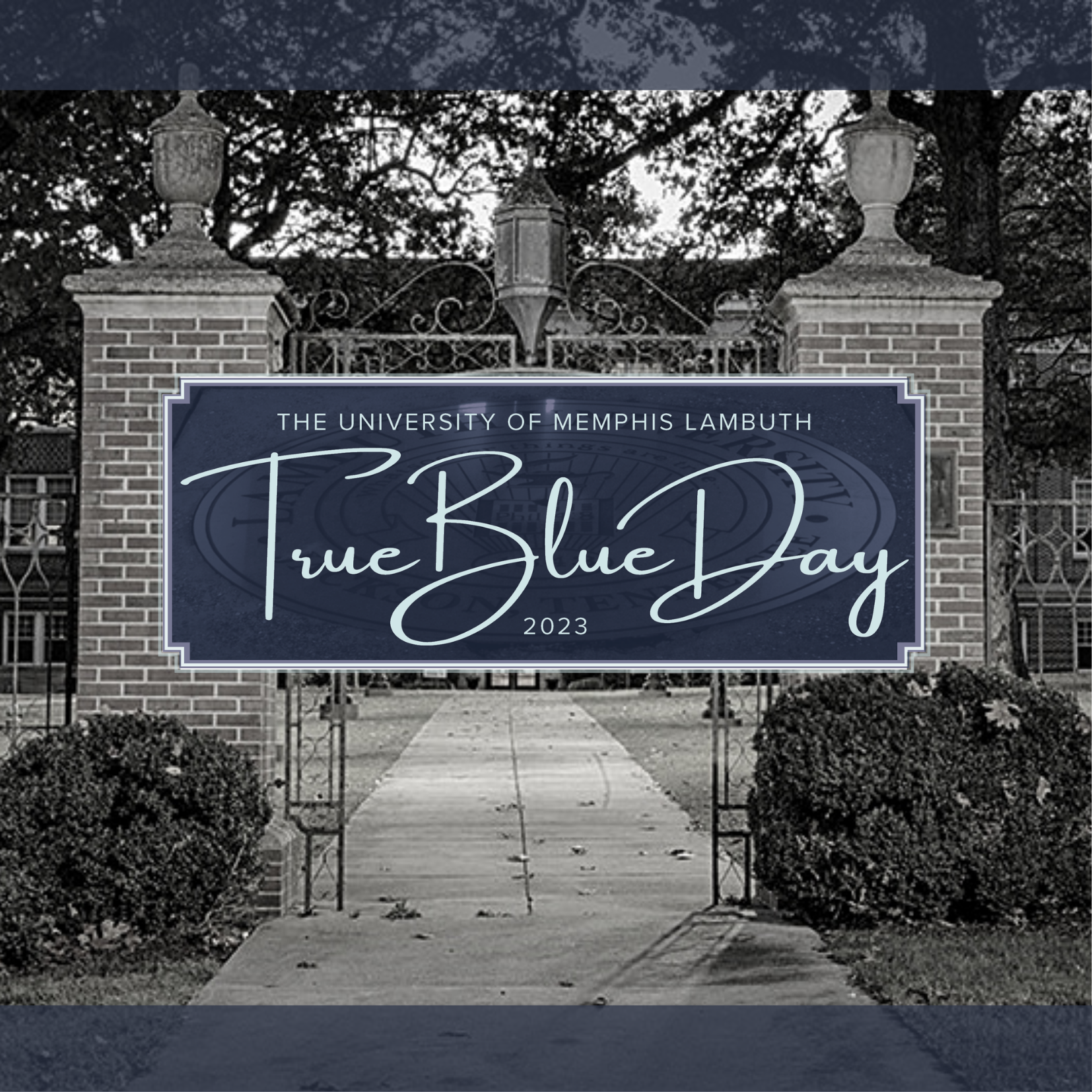 True Blue Day