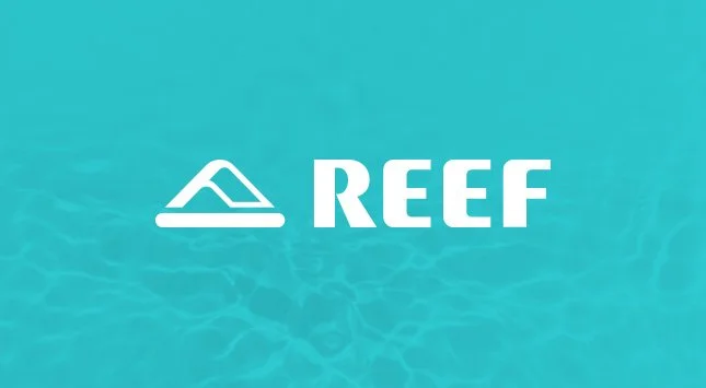 Reef - Thumbnail.jpg