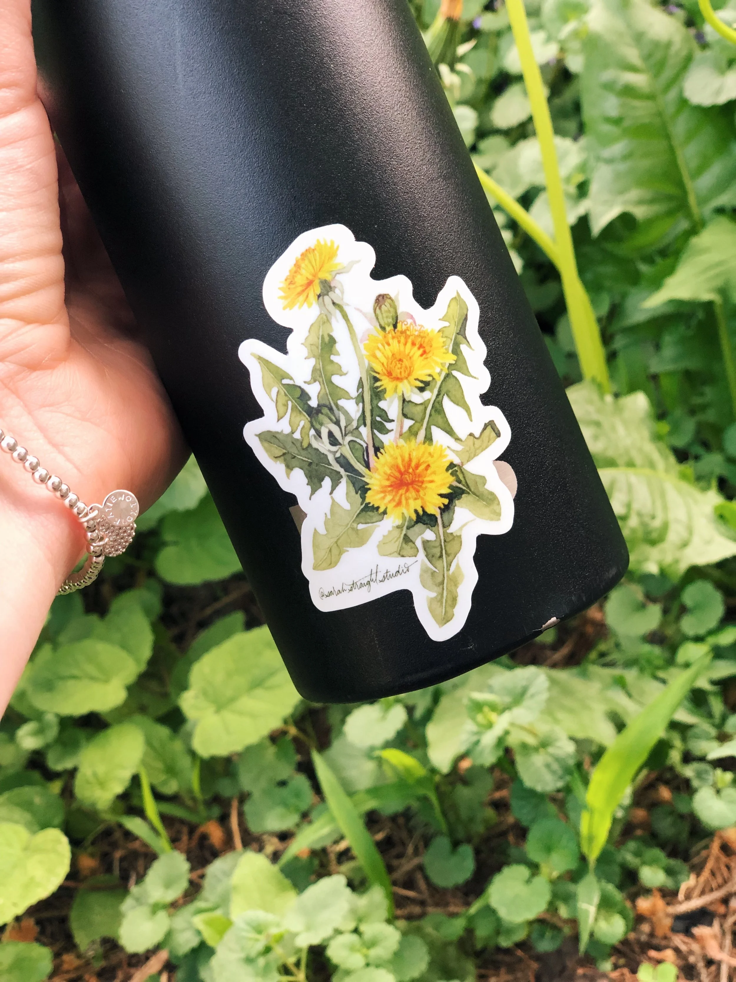 Dandelion Sticker