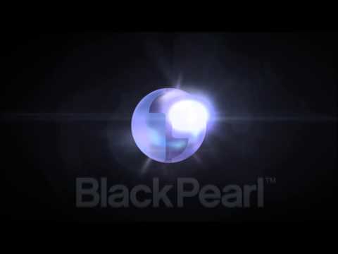 Black Pearl Intelligence - Logo Particle Zoom