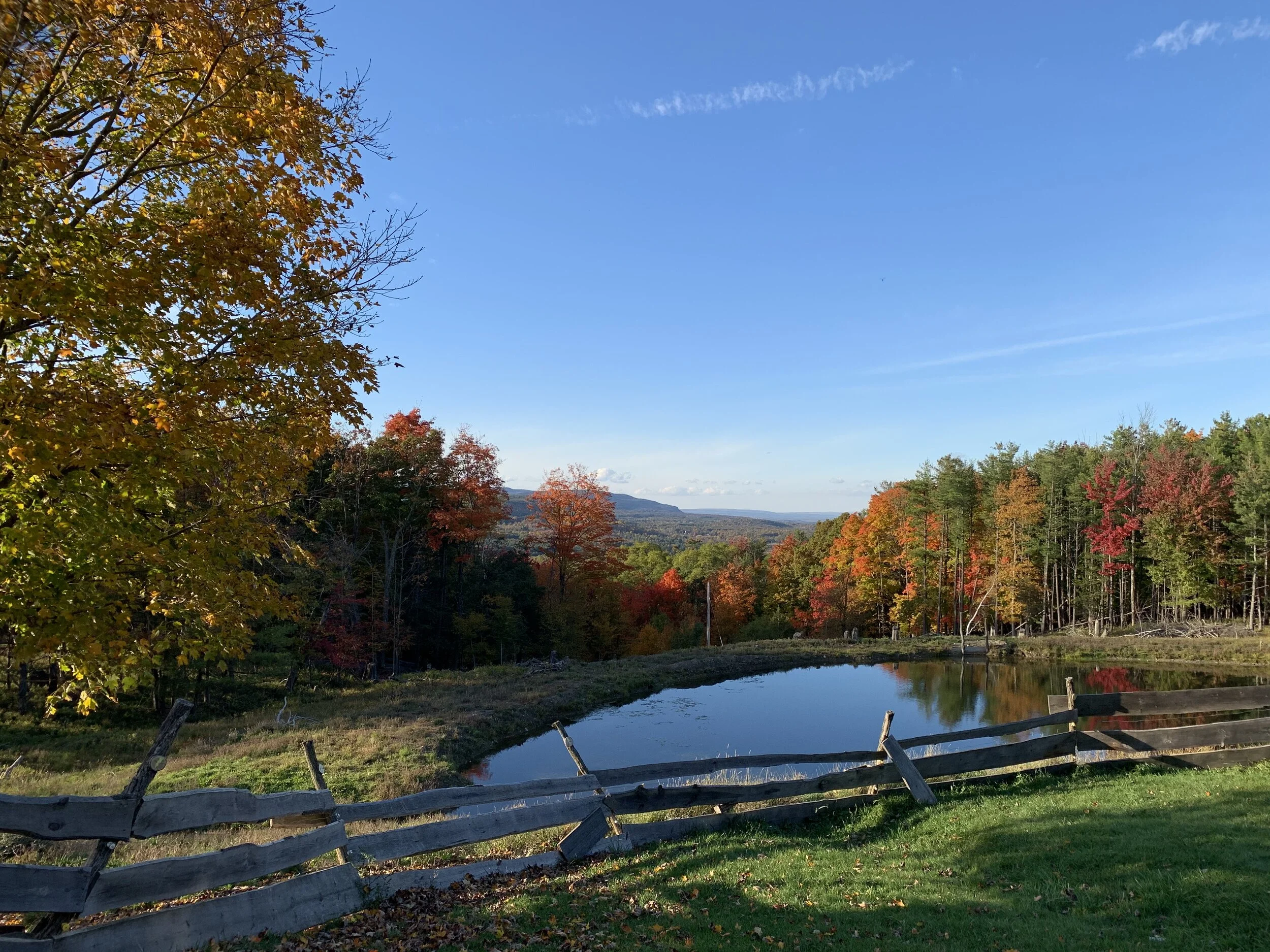 Eight Lessons from the Farm