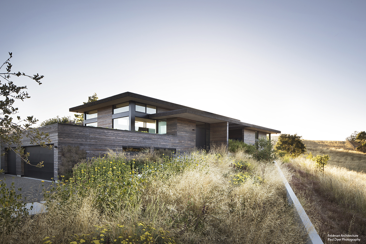 House of Shade and Shadow