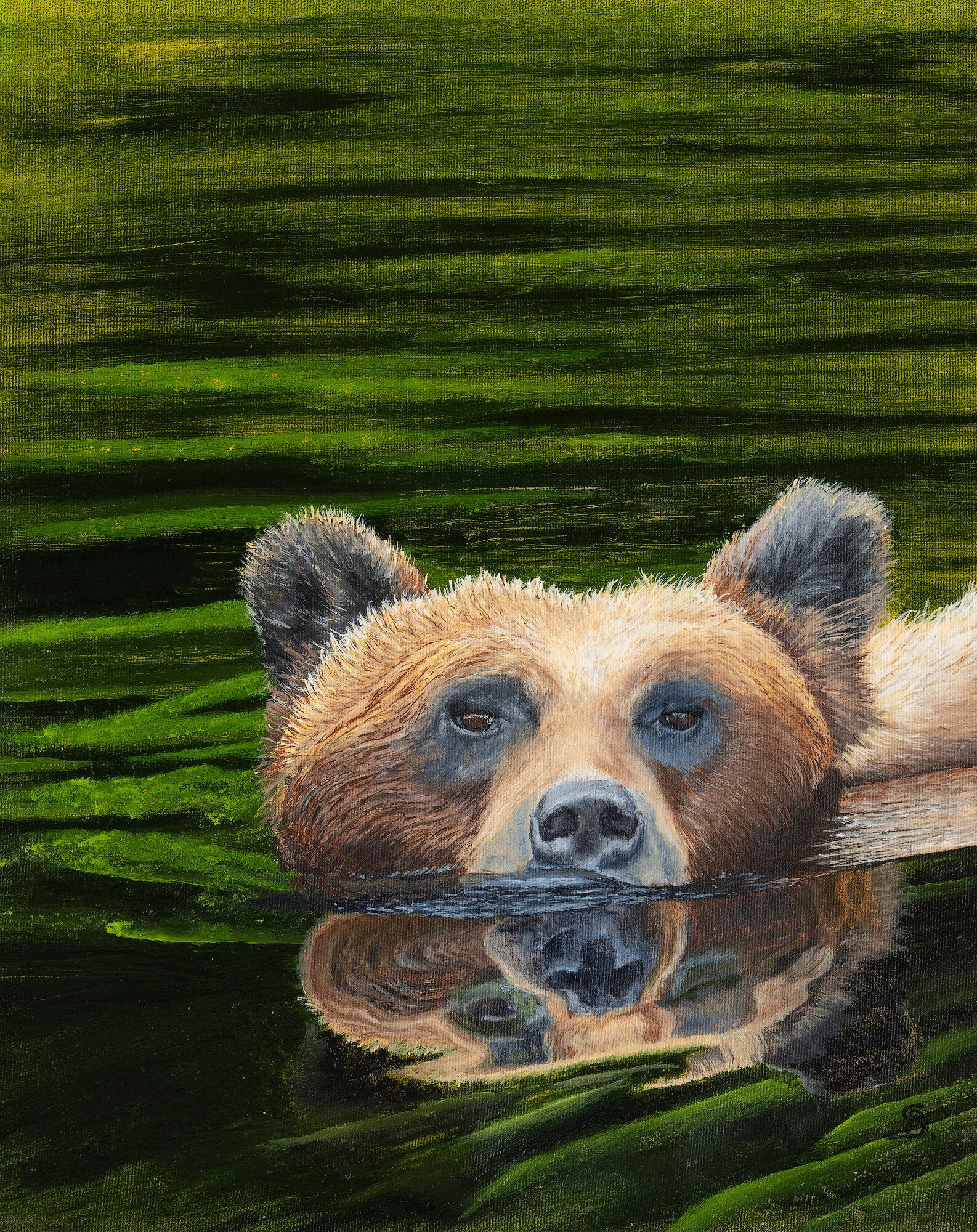 Bear in the Water