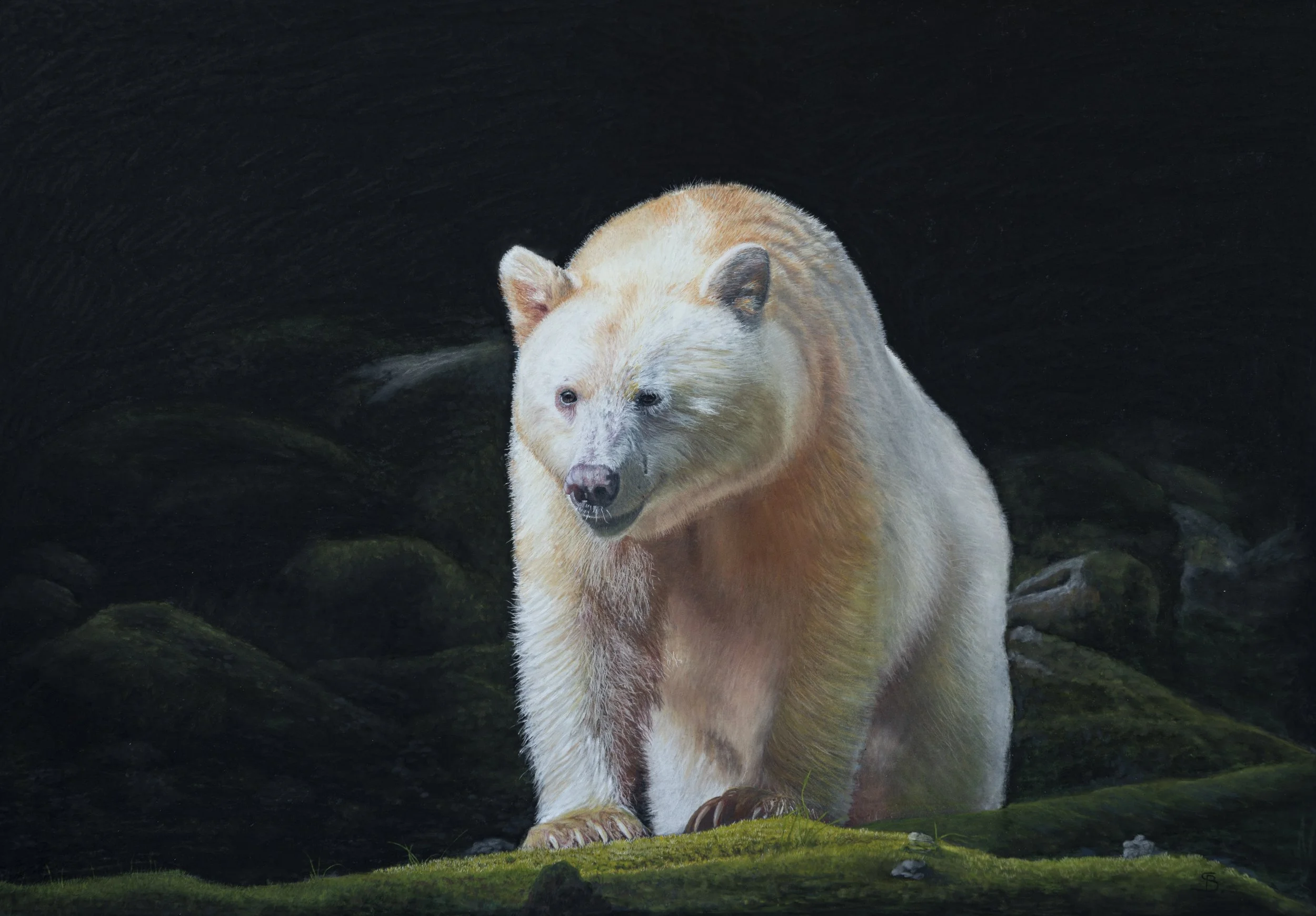 Spirit Bear