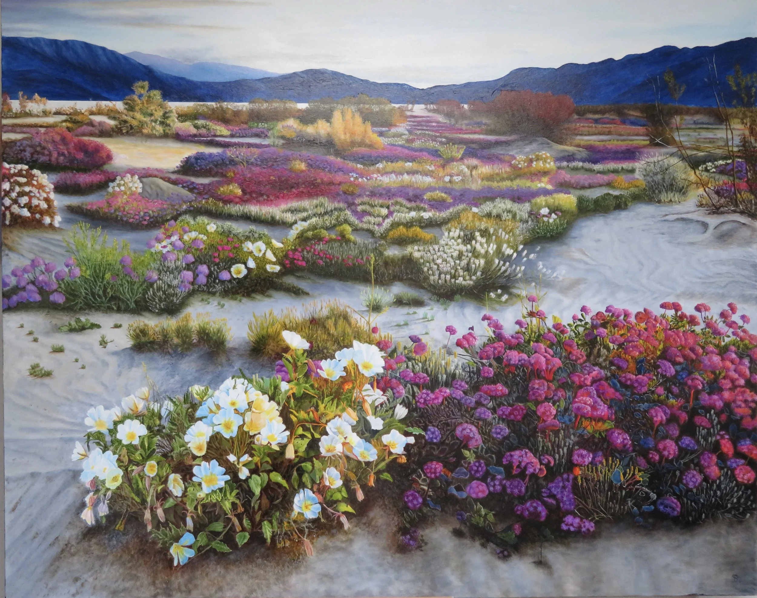 High Desert Super Bloom