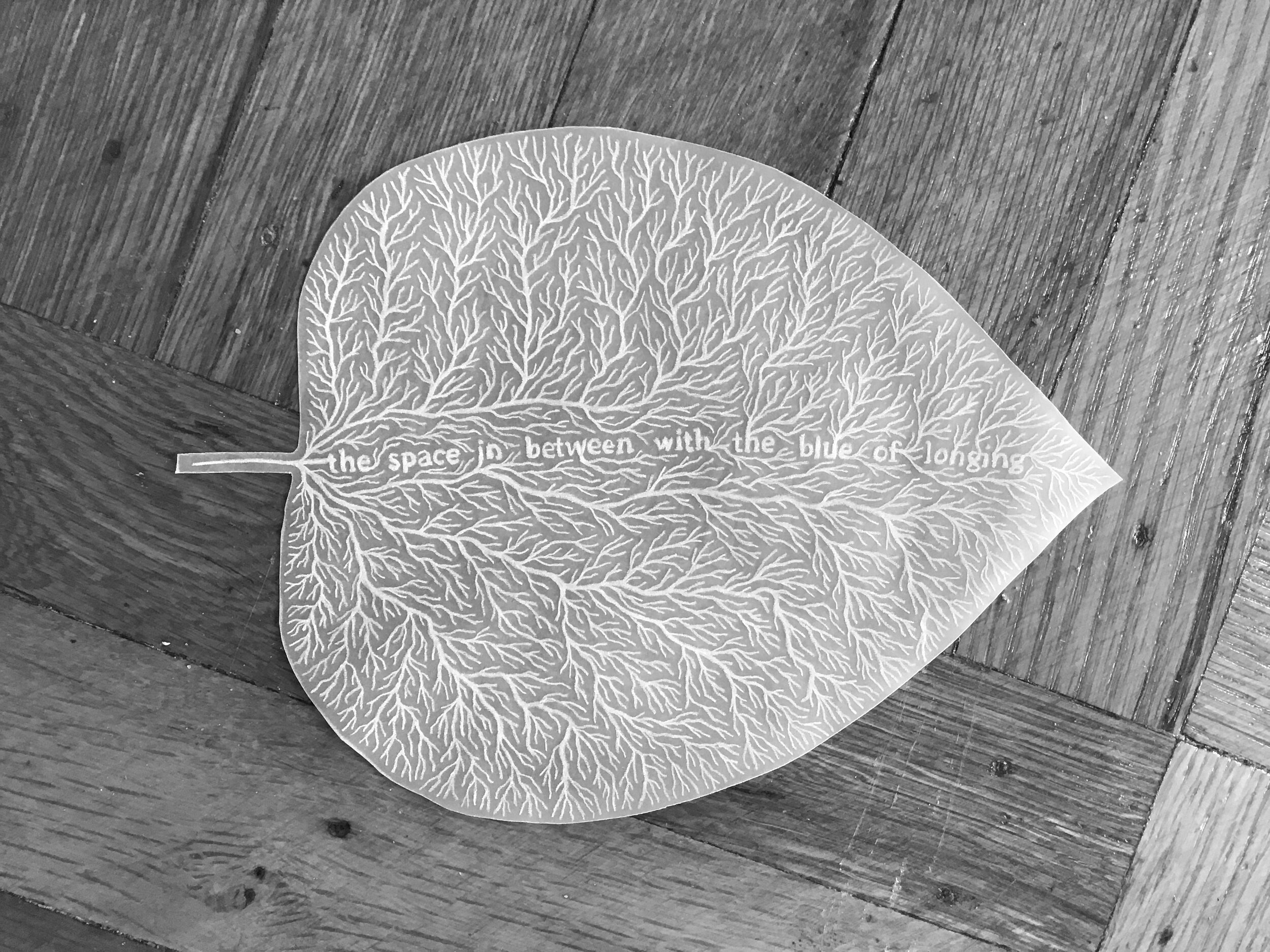 Leaf 4 (for Rebecca Solnit)