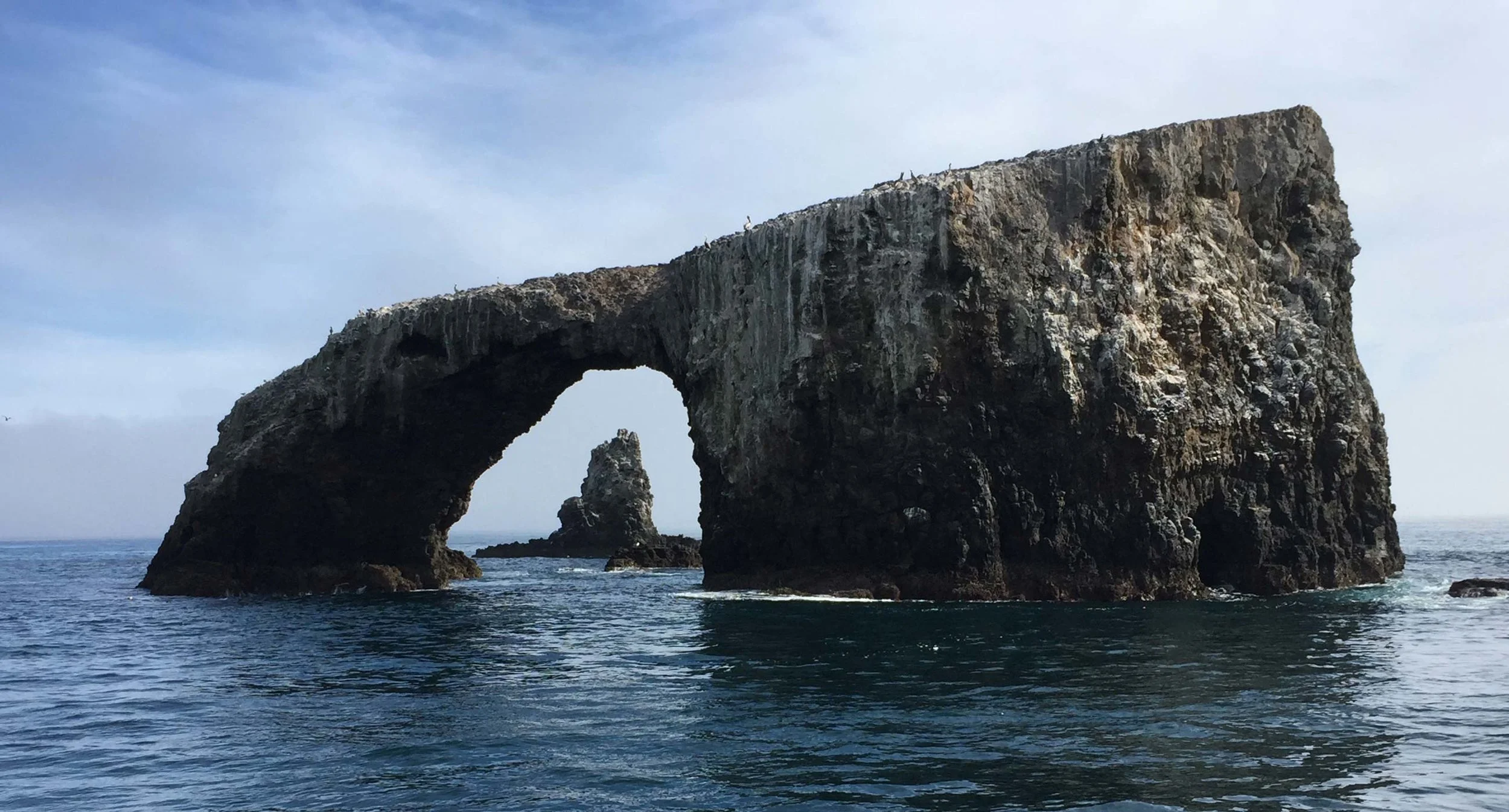 web-arches.jpg