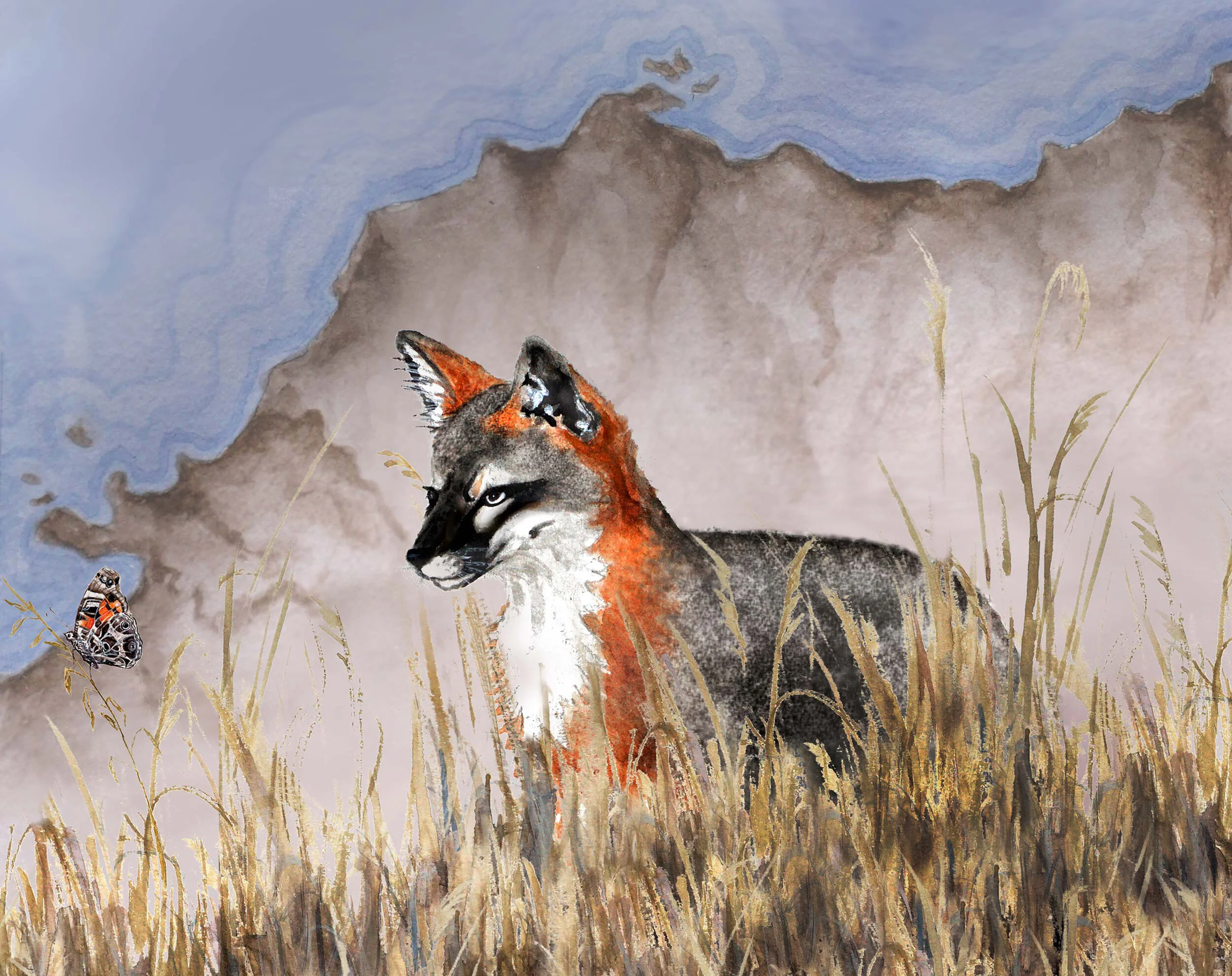 The Historic Channel Islands Biological Survey