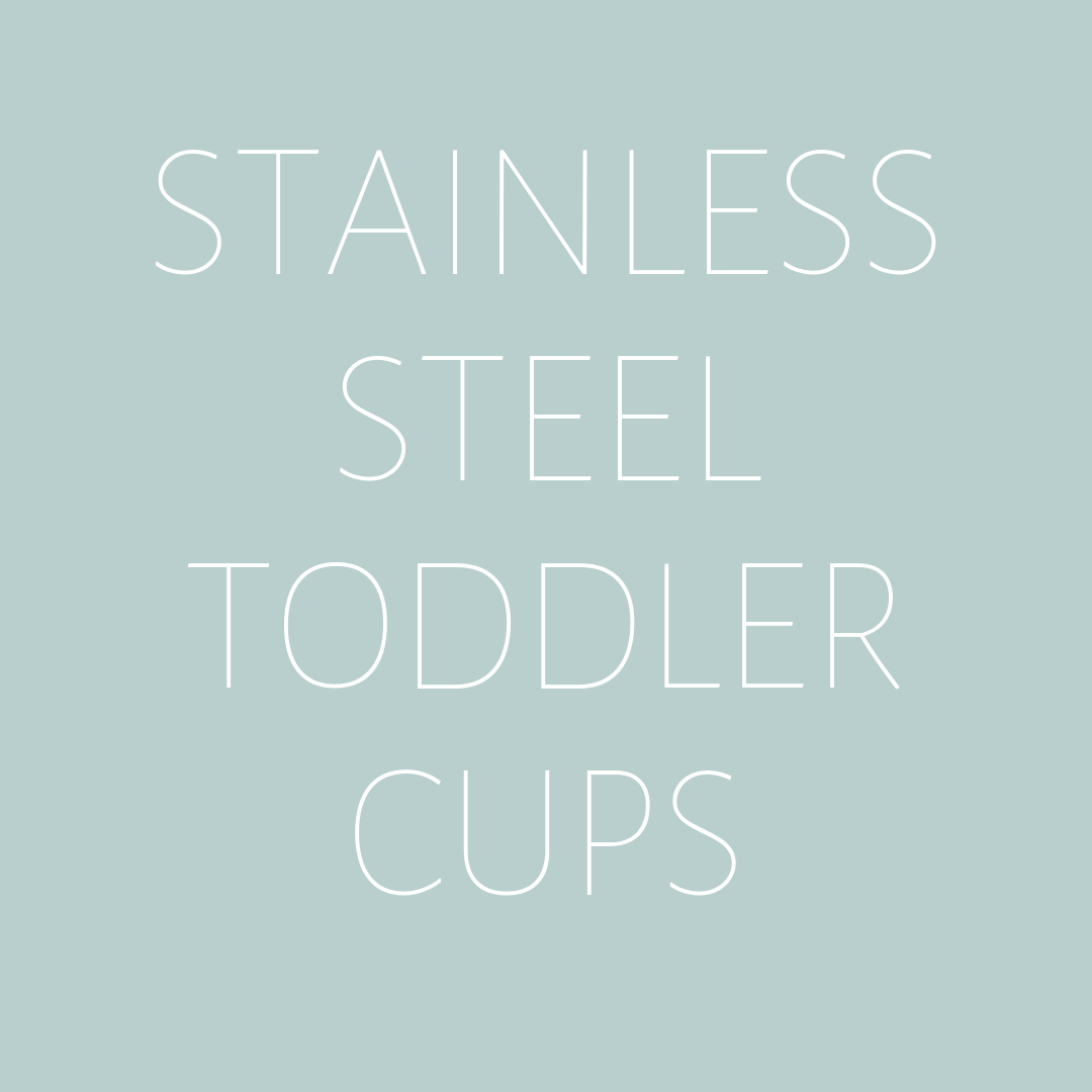 Stainless Steel Kids Cups
