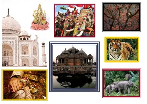 Images of different places in india with tiger, elephants and a monkey