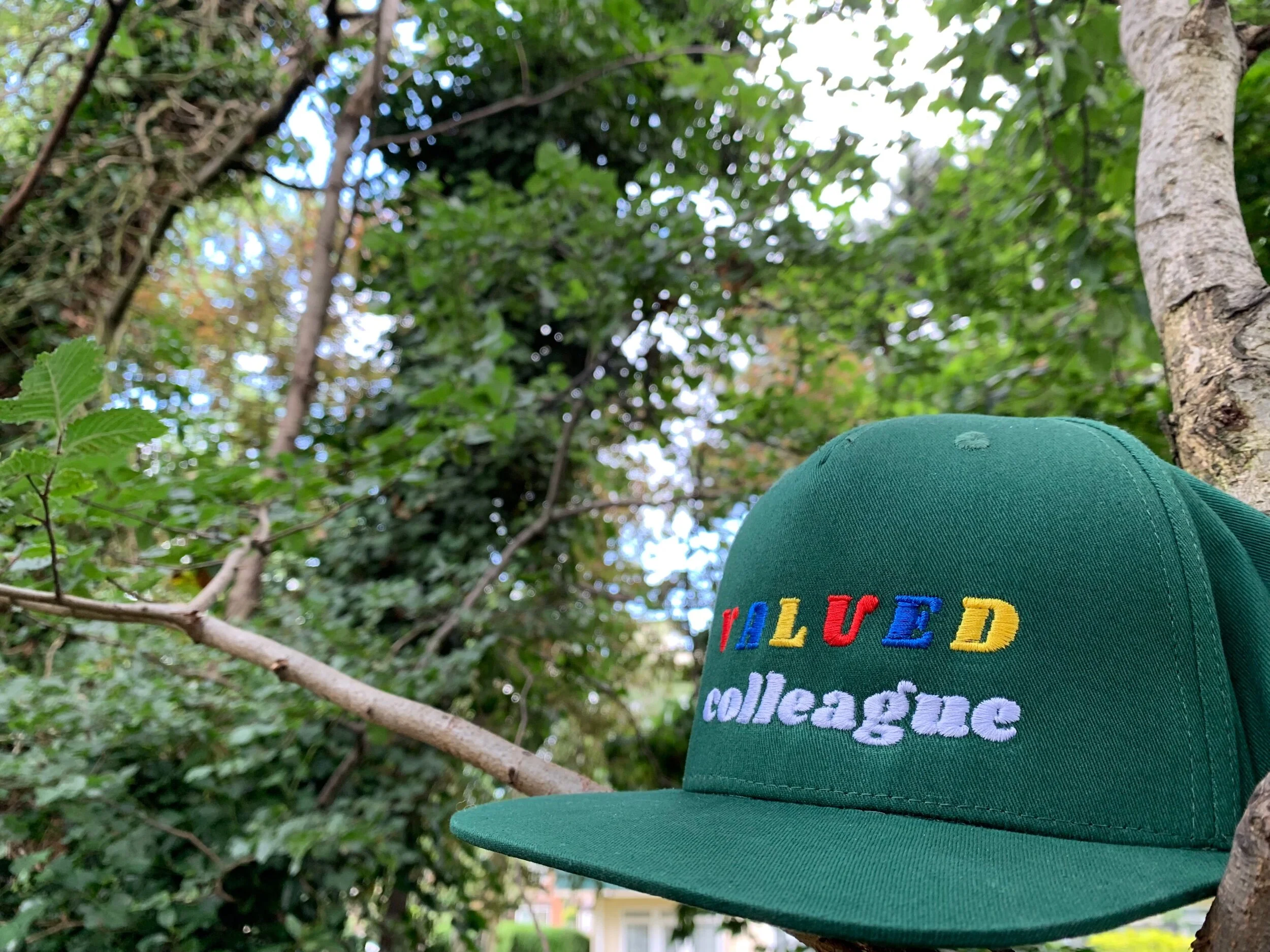 5B8BA03B-0351-40D9-8FAB-2E8DDB7BEFB8