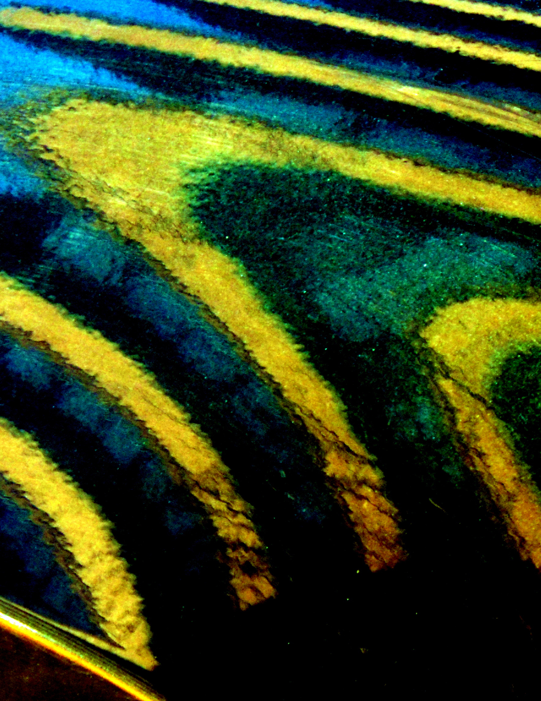 Pools of Light 6