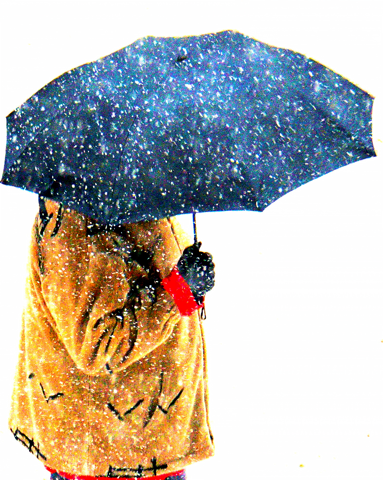 Shelter and Storm 1
